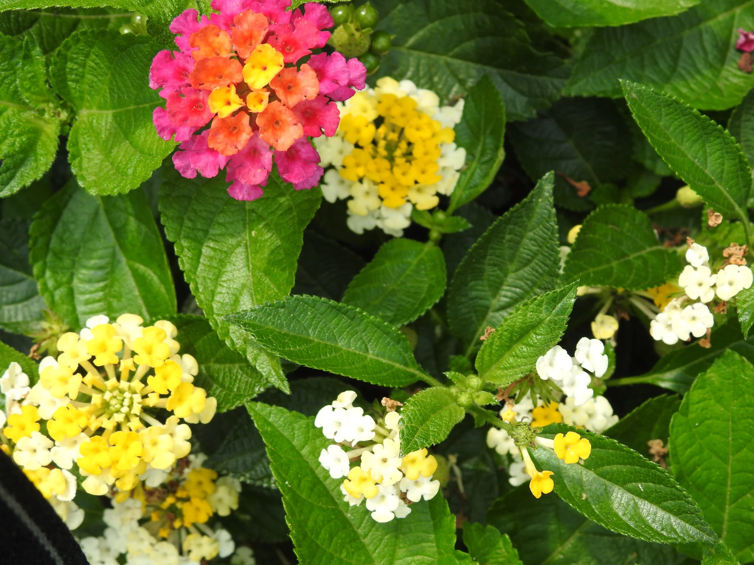 DSCN0895.JPG