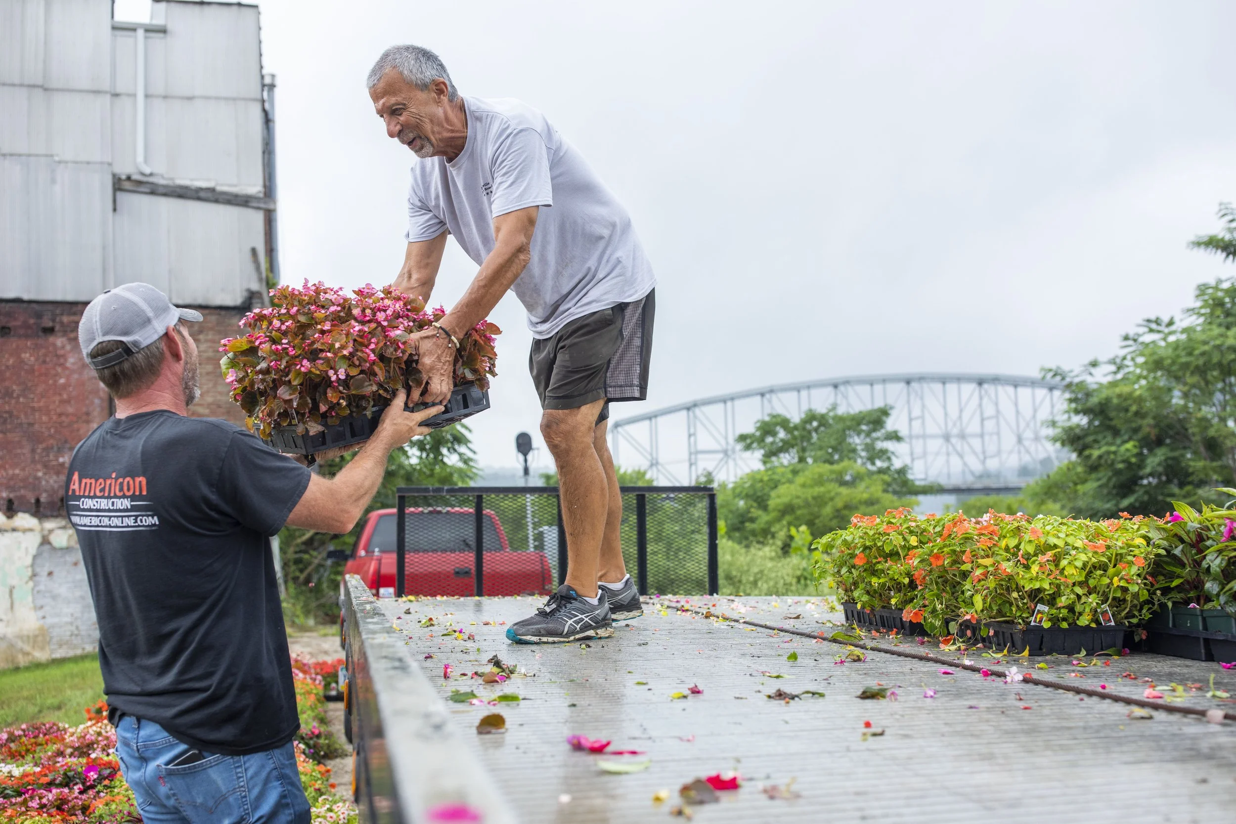 An elderly man standing on a truck bed, receiving a plant from a man wearing a black shirt with 'Americon Construction' written on the back. The truck bed has flowers and leaves scattered on it, with a background of trees, a bridge, and a cloudy sky.