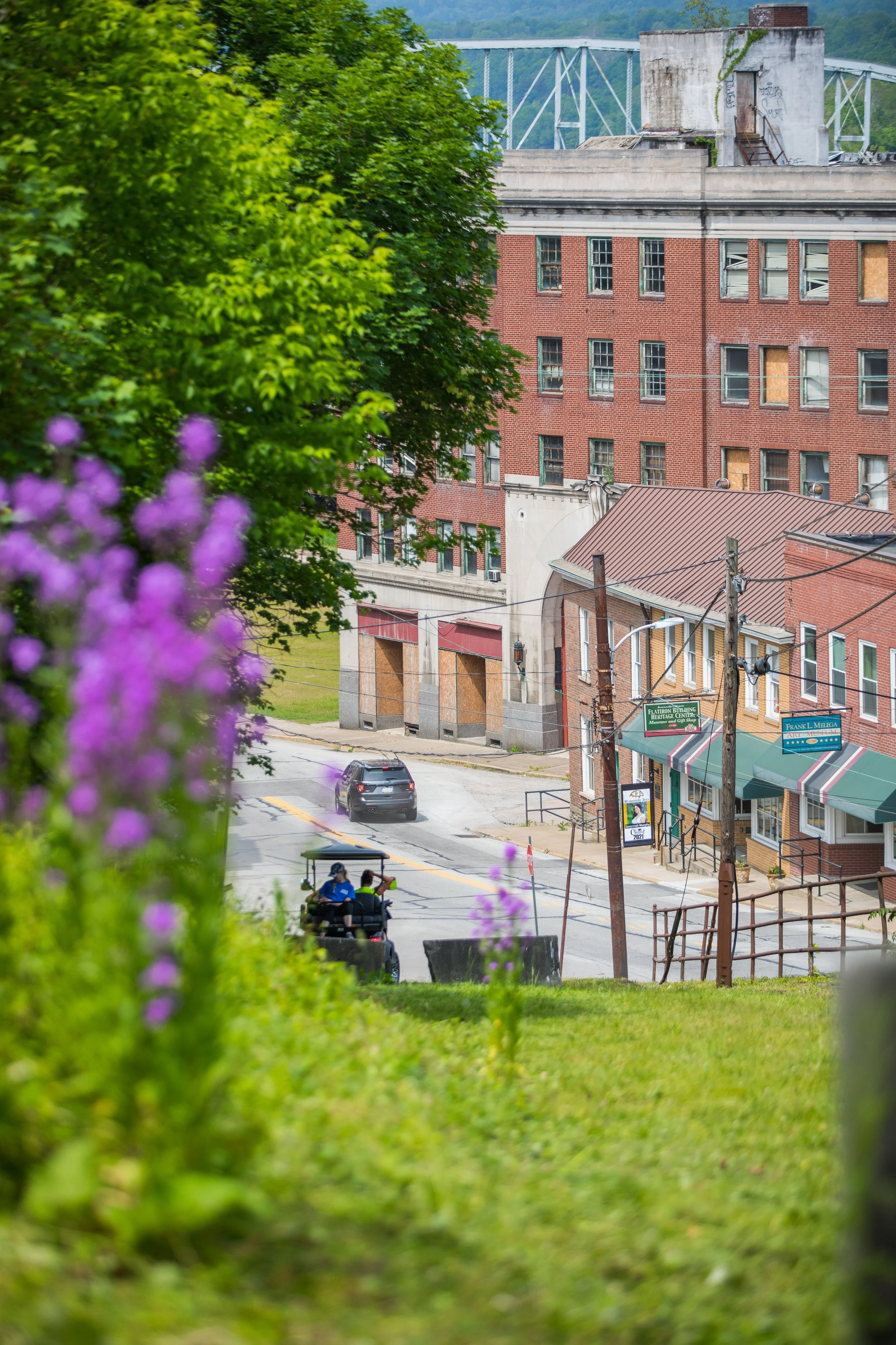 A view of a small downtown area with brick buildings and storefronts, a street with a black car and a golf cart, and a large building with many windows. There are trees and purple flowers in the foreground.