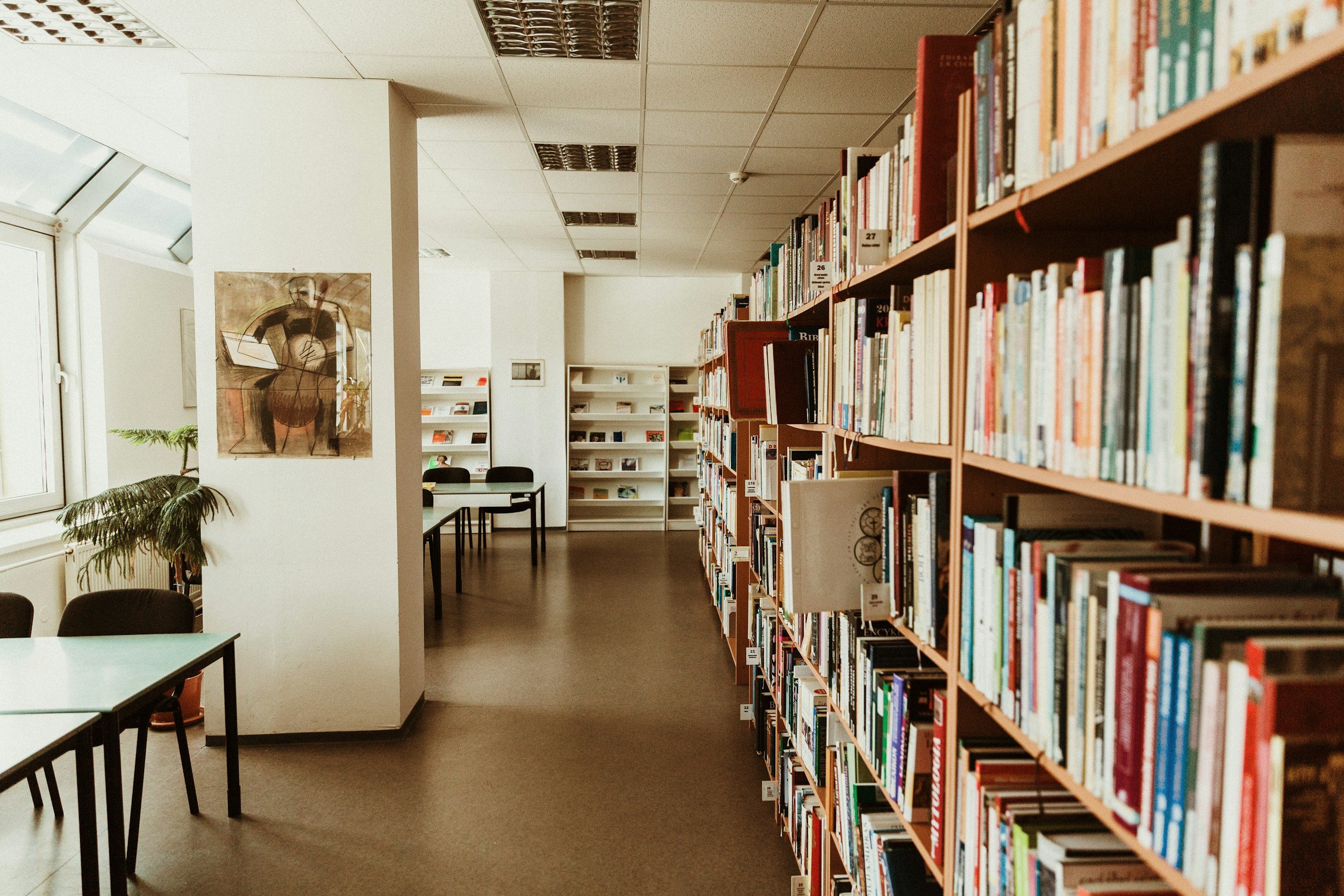 Photo of a library with bookshelves on the right, tables and chairs on the left, and a window with a plant near the wall.