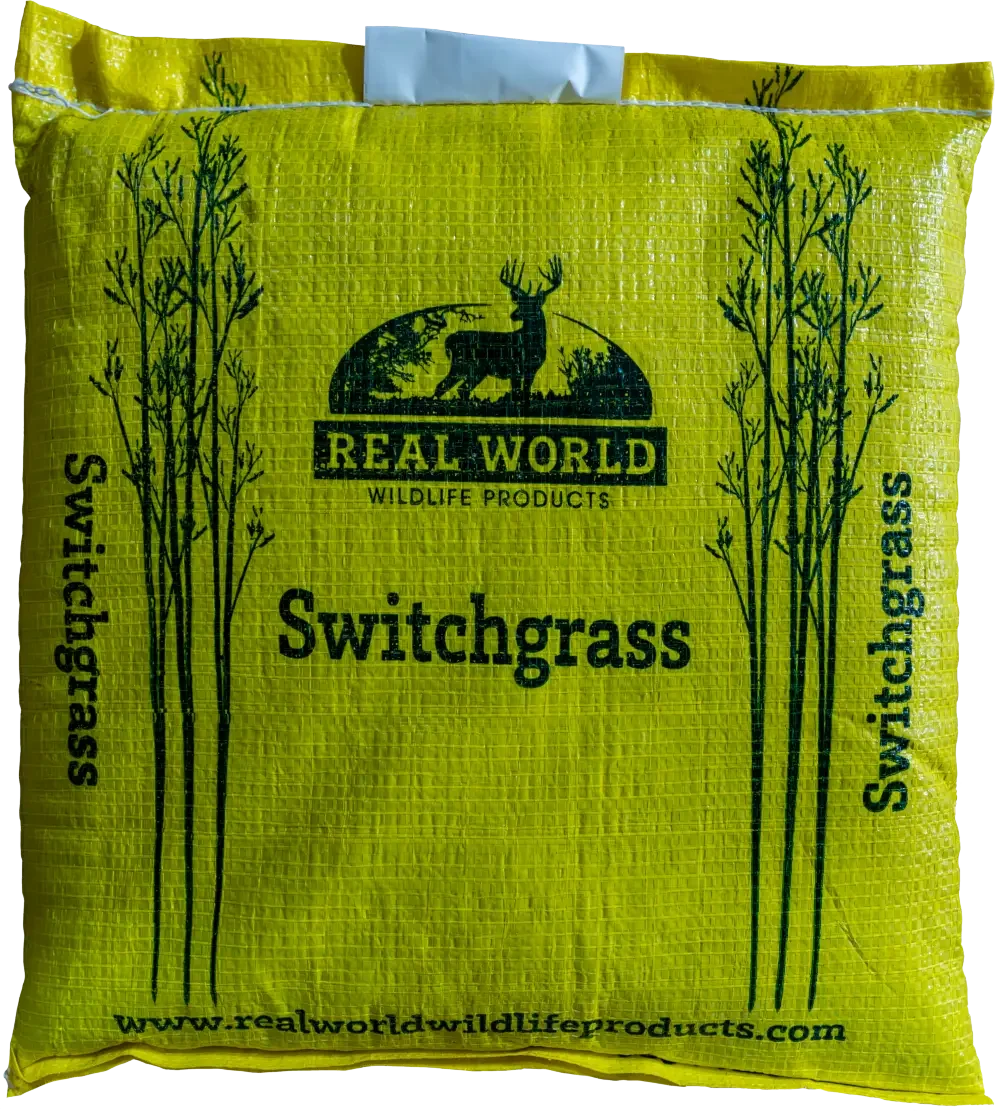 RWWP Switchgrass