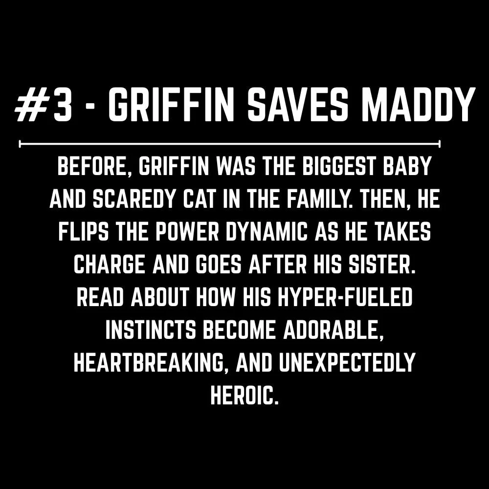 3. griffin saves maddy.jpg