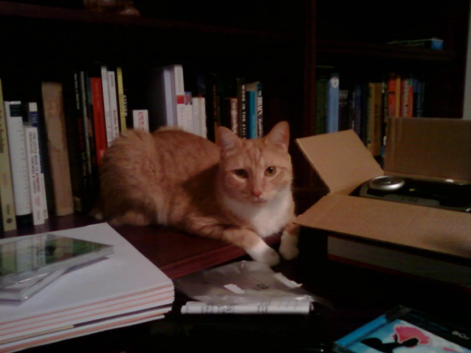FIP: Silent Killer No More