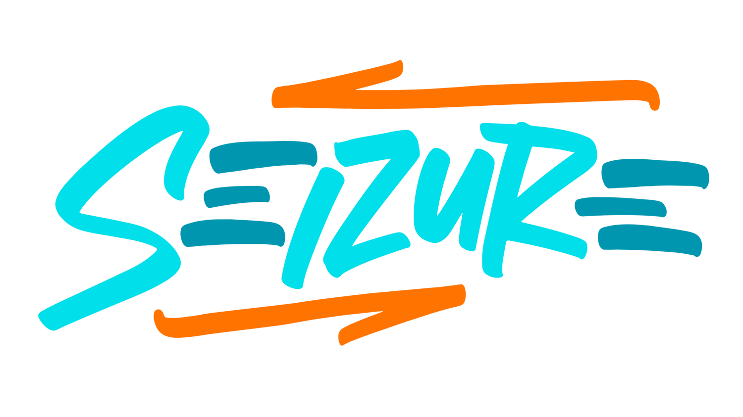 Official DJ Seizure Website