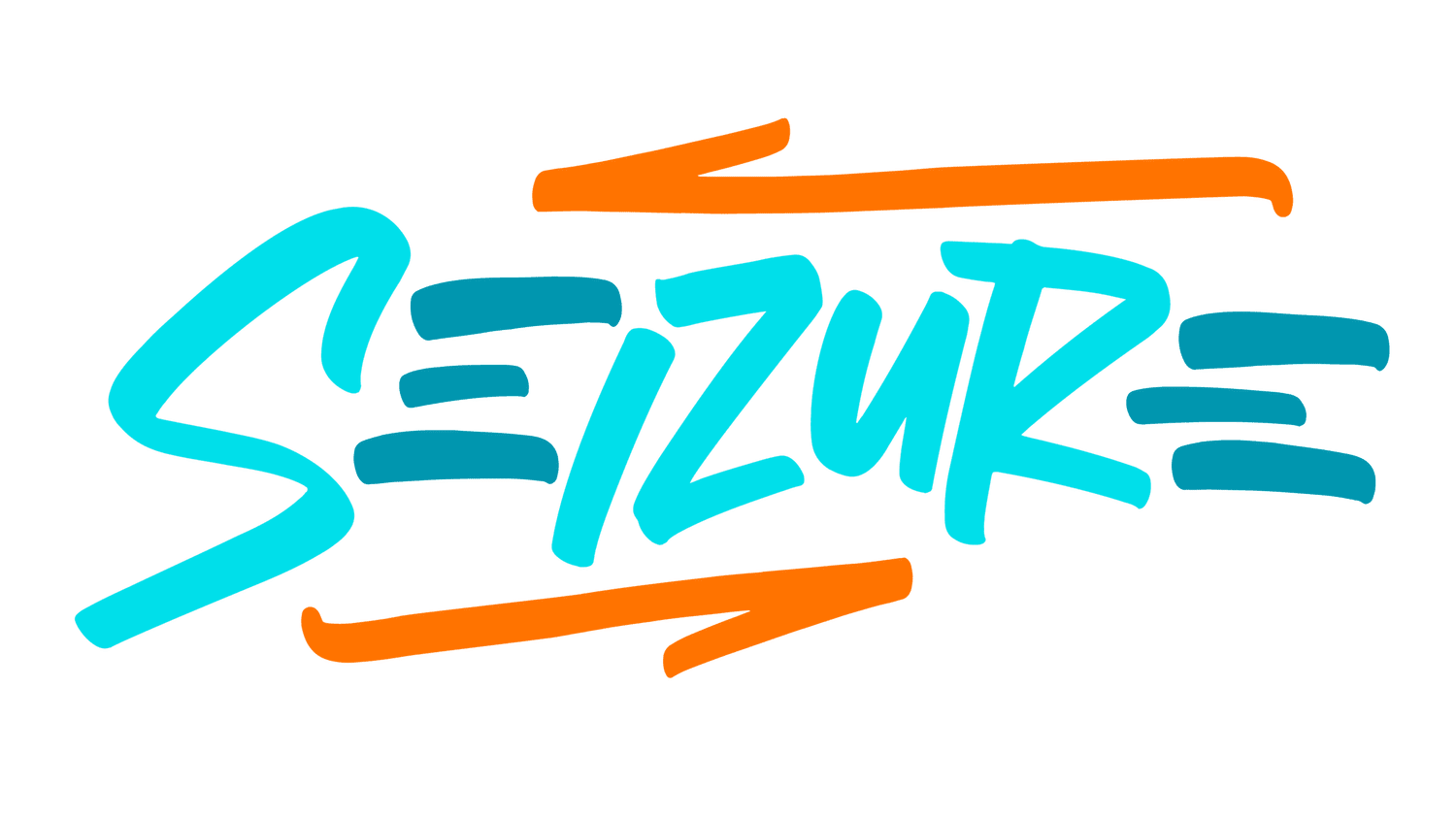 Official DJ Seizure Website