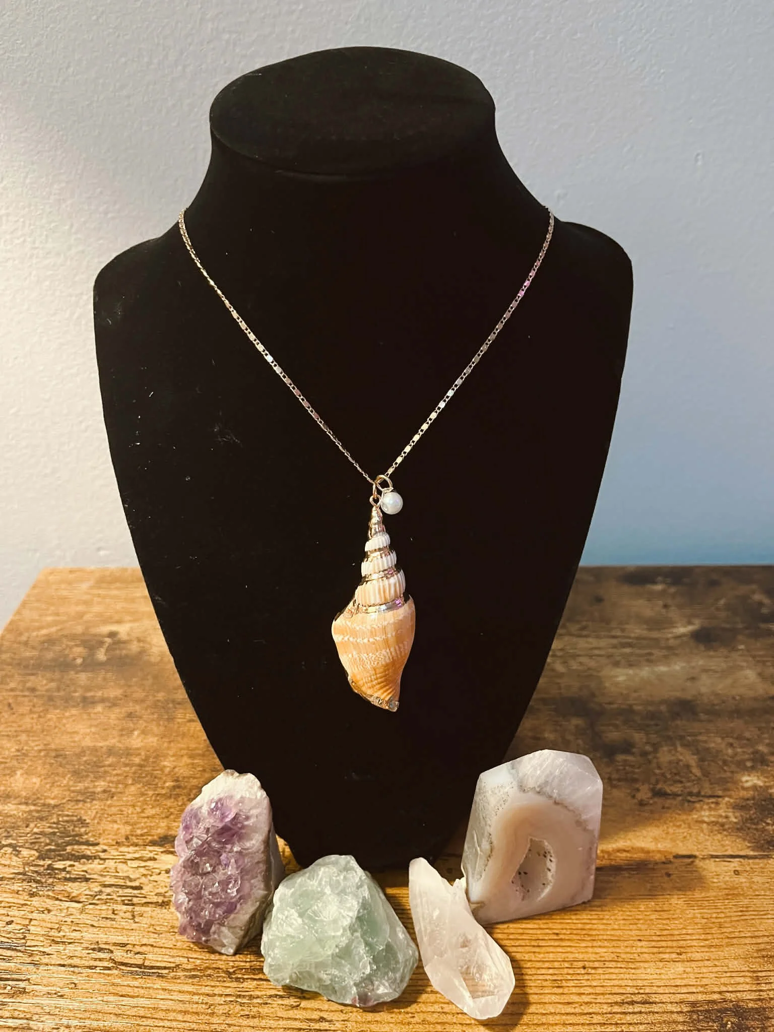 SEASHELL NECKLACE  $20