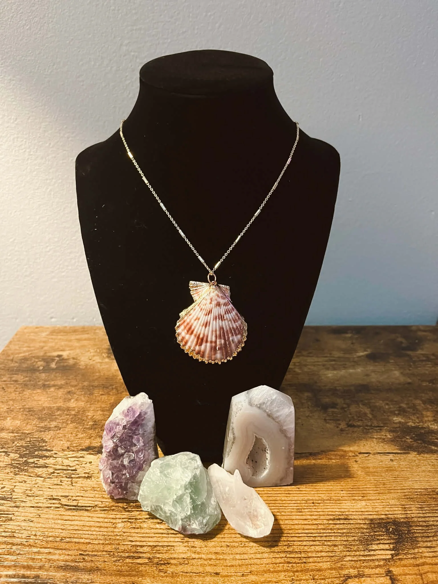 SEASHELL NECKLACE $20