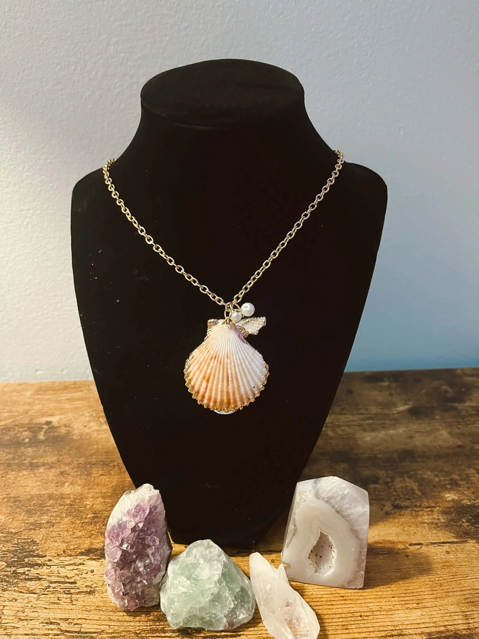 SEASHELL NECKLACE  $20