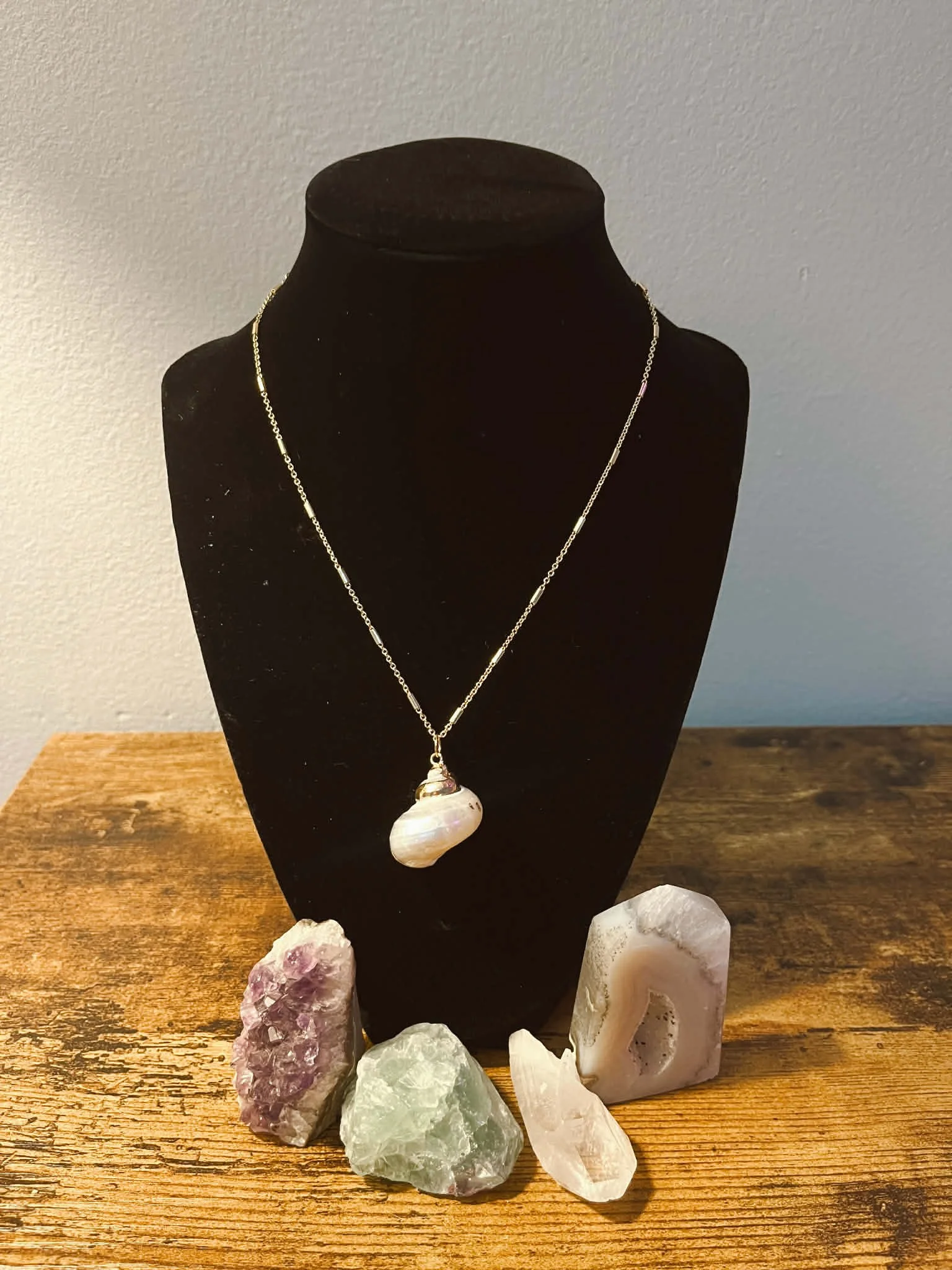 VANESSA NECKLACE  $20