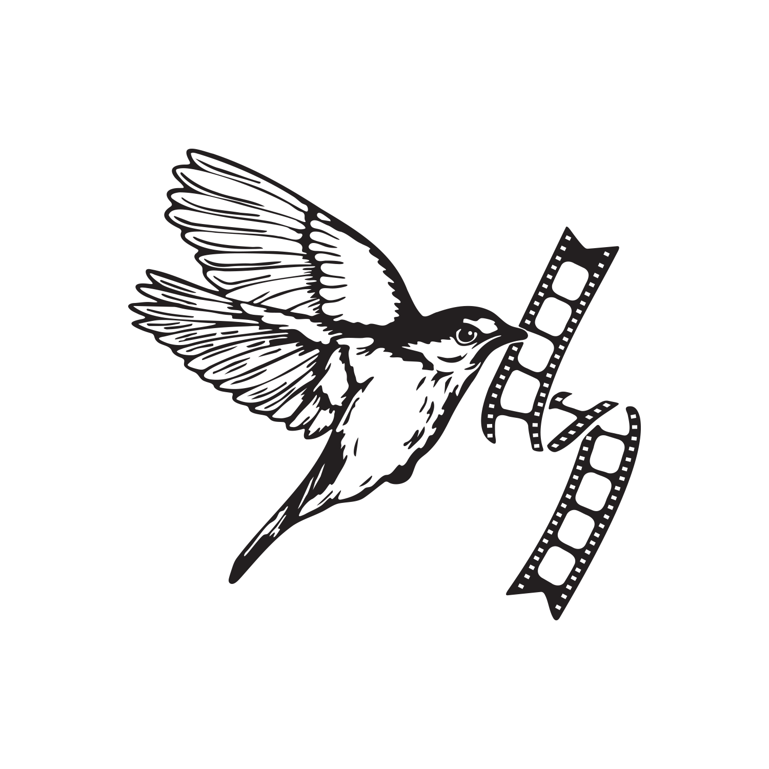 Film &amp; TV Editor | Filmmaker