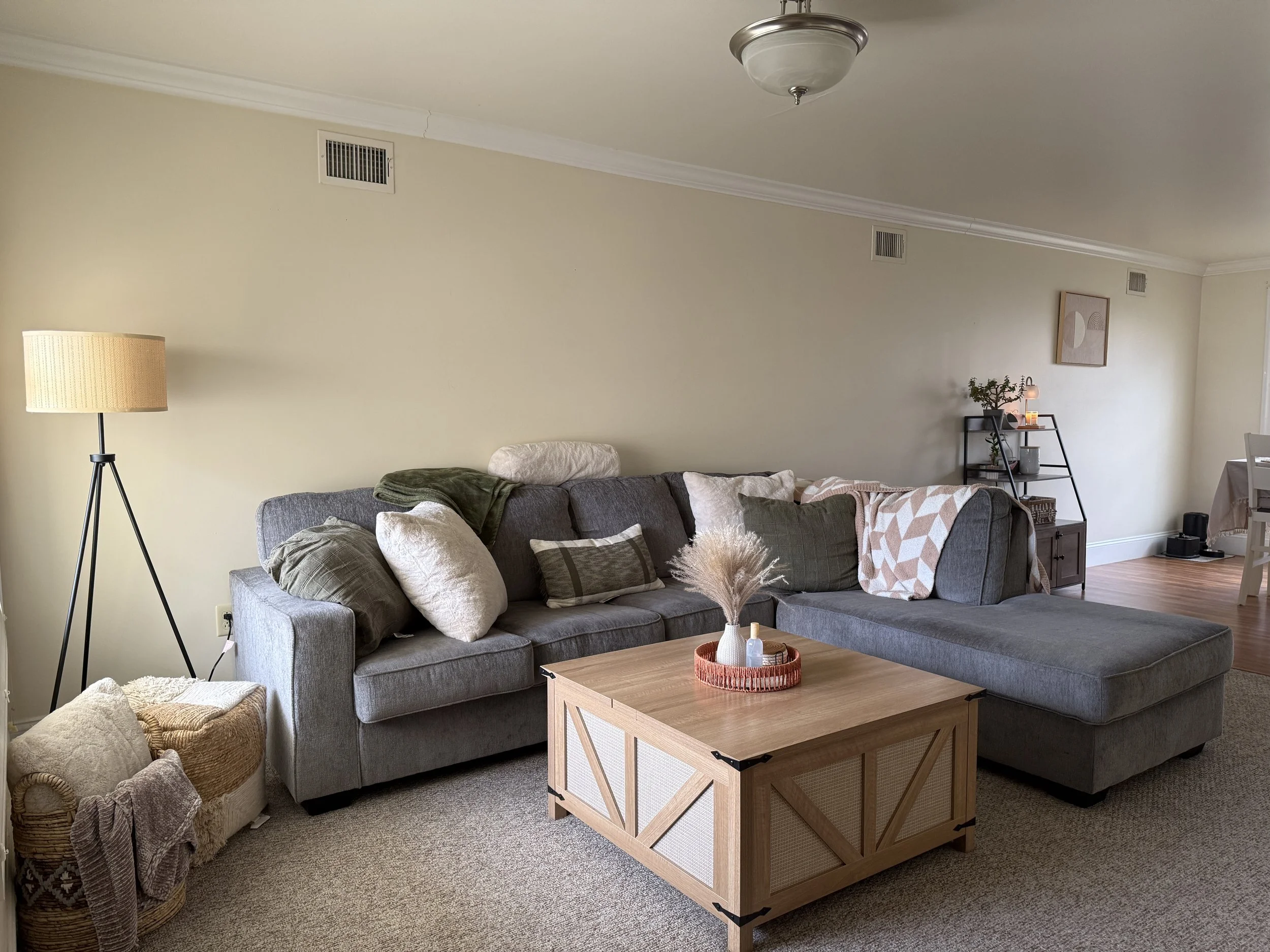 The Living & Dining Area