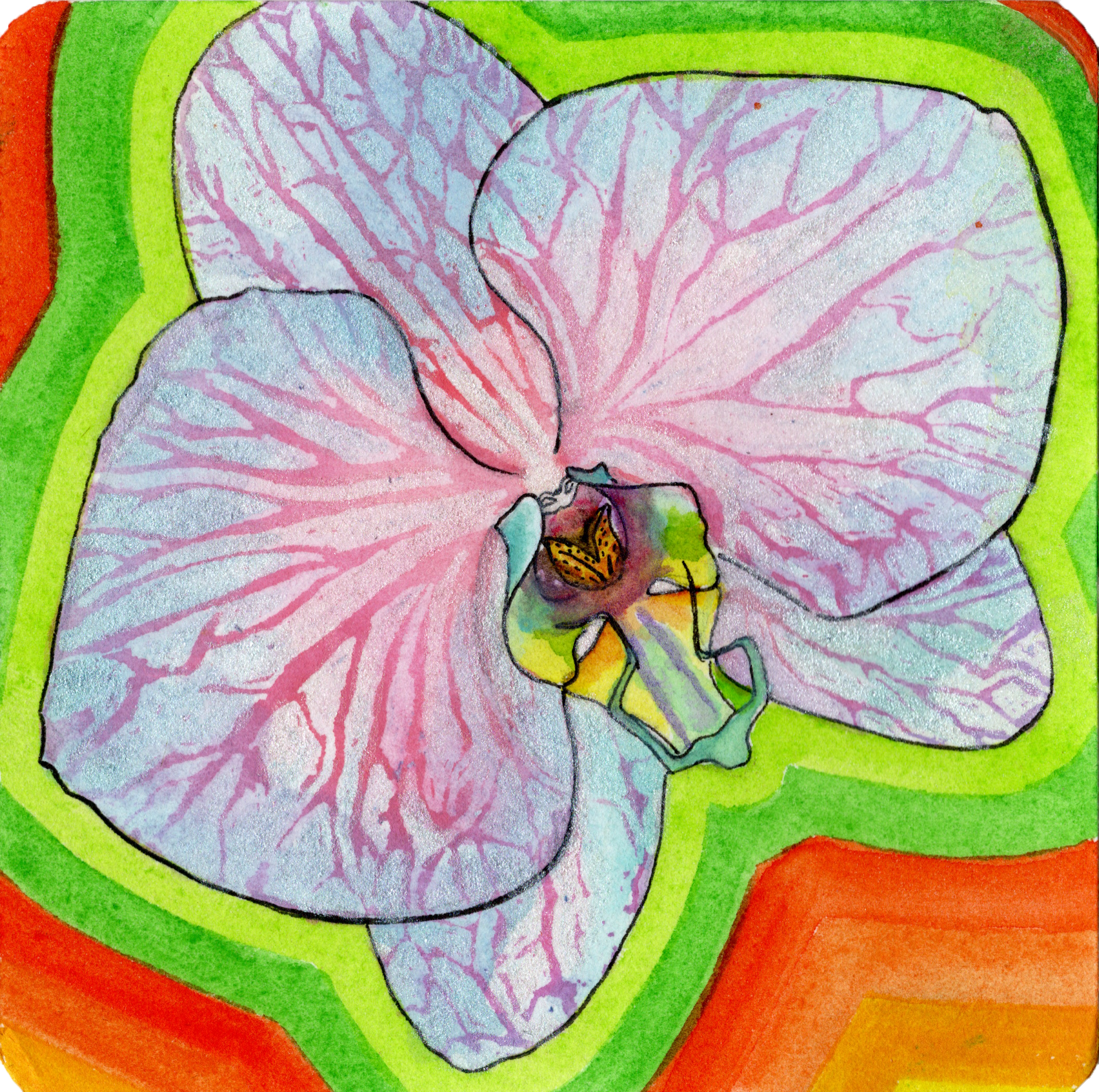 Image_20260916_0011.png