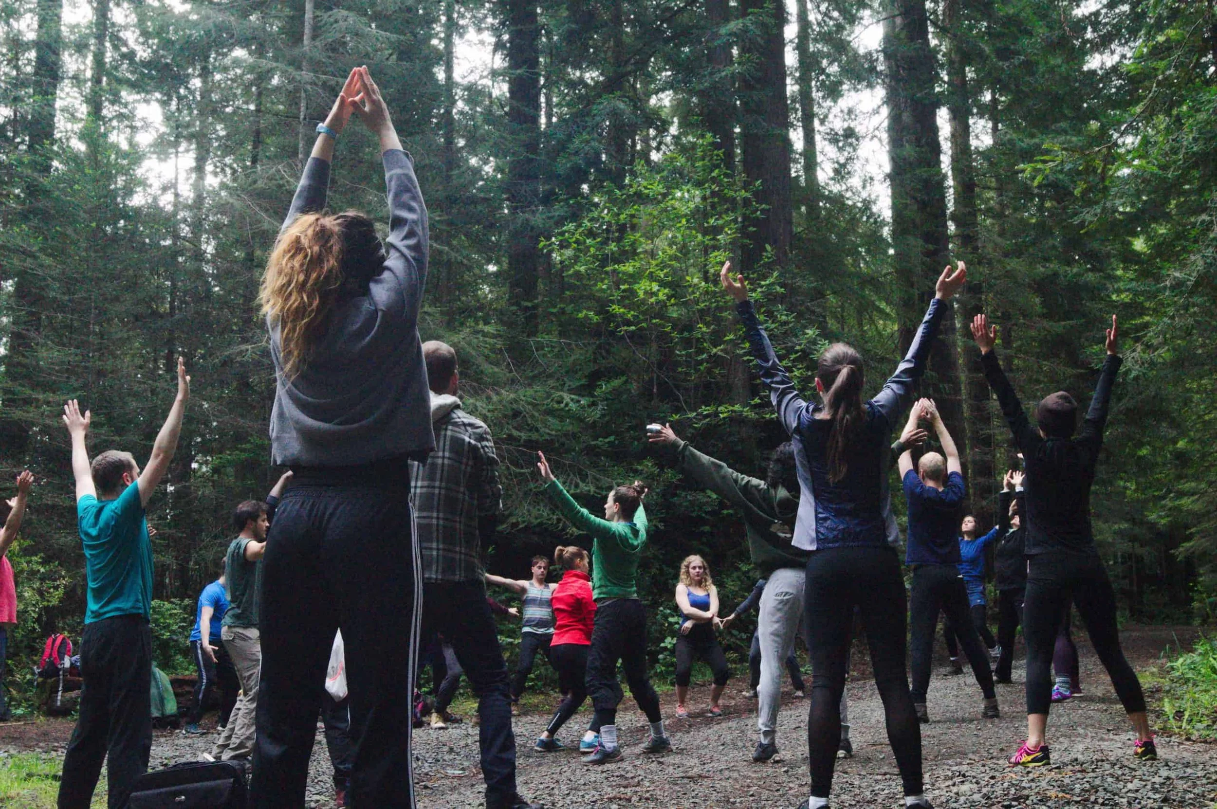 Group of people participating in outdoor yoga or exercise session in a forested area, with some raising their arms and others stretching.
