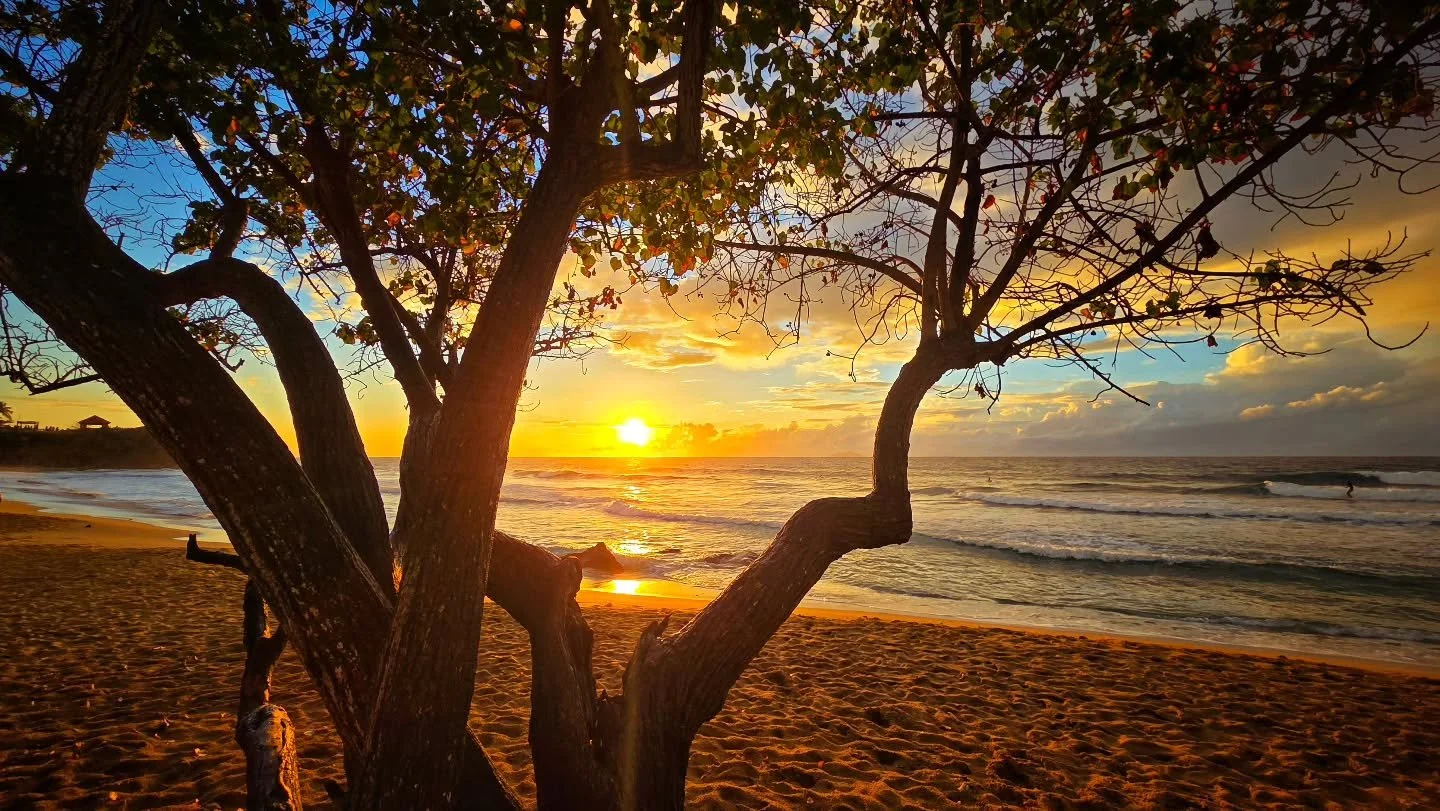 Tropical sunset.  #puertorico #sunset