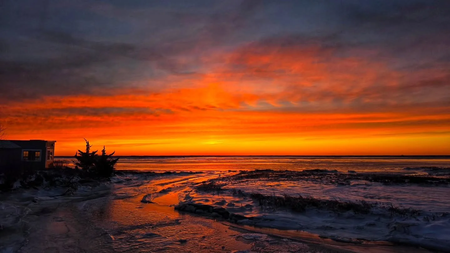 Frozen sunsets 
#winter #frozen #sunset