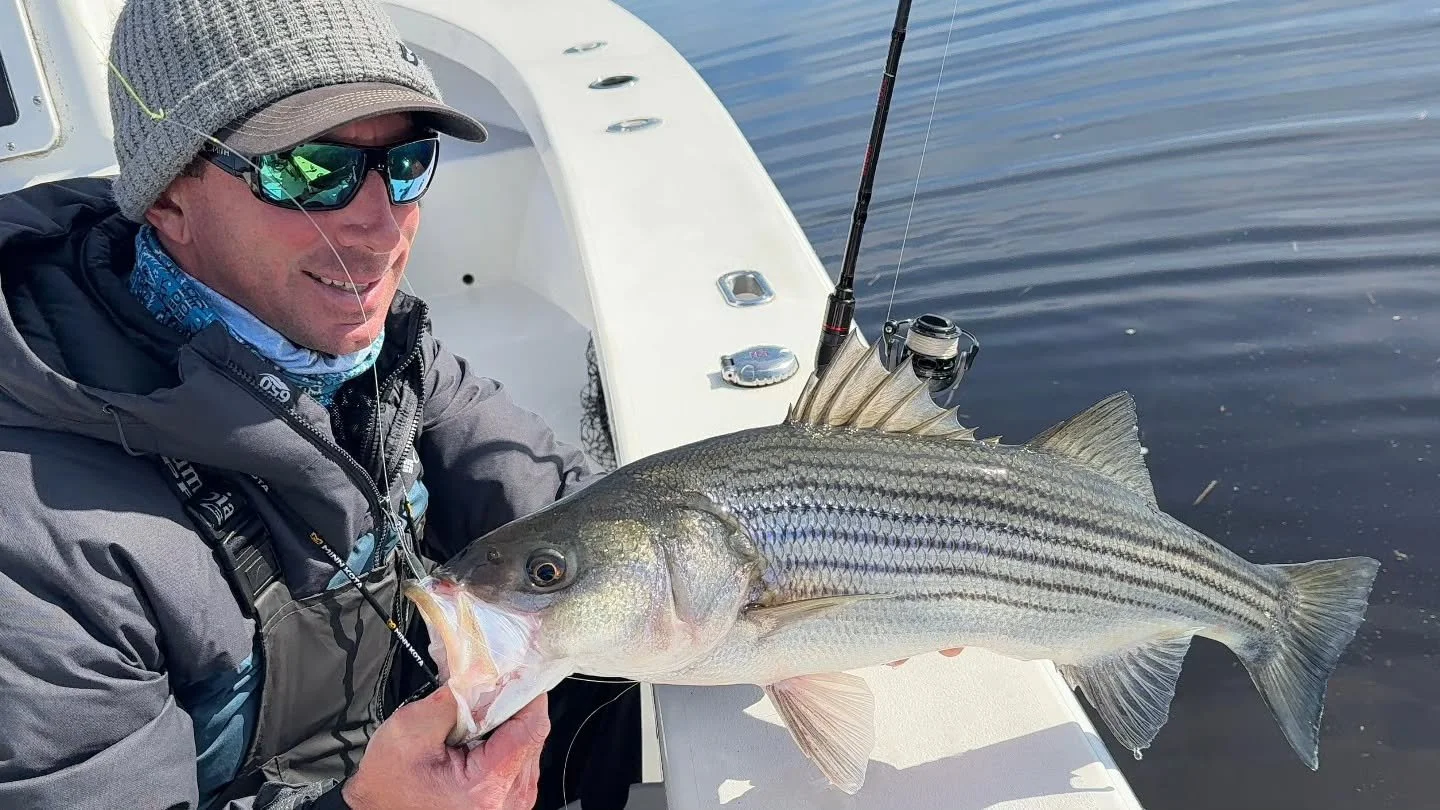 Striped bass season is on 🎣 .  If youre looking to get out on the water and into the action, now is the time to book your trip for the coming weeks.  Limited dates available! Don't miss out!  Links in bio. 

📸 cred @ba_fishing_
#ocnjfishing
#stripe