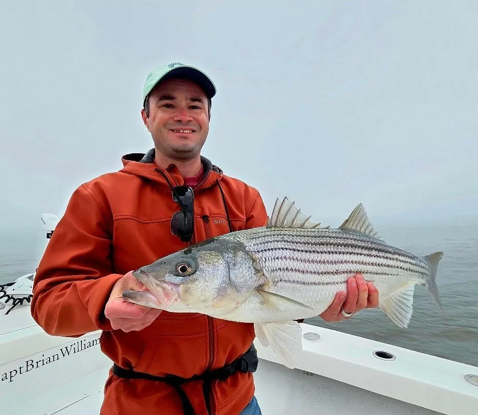 Morning fog to start the day... Striped bass on the @stridebaits glide. Ready to reel one in? Book your trip today! 🎣 @ www.ocnjfishing.com #striperfishing #striperseason #catchandrelease #saltwaterfishing #oceancitynj