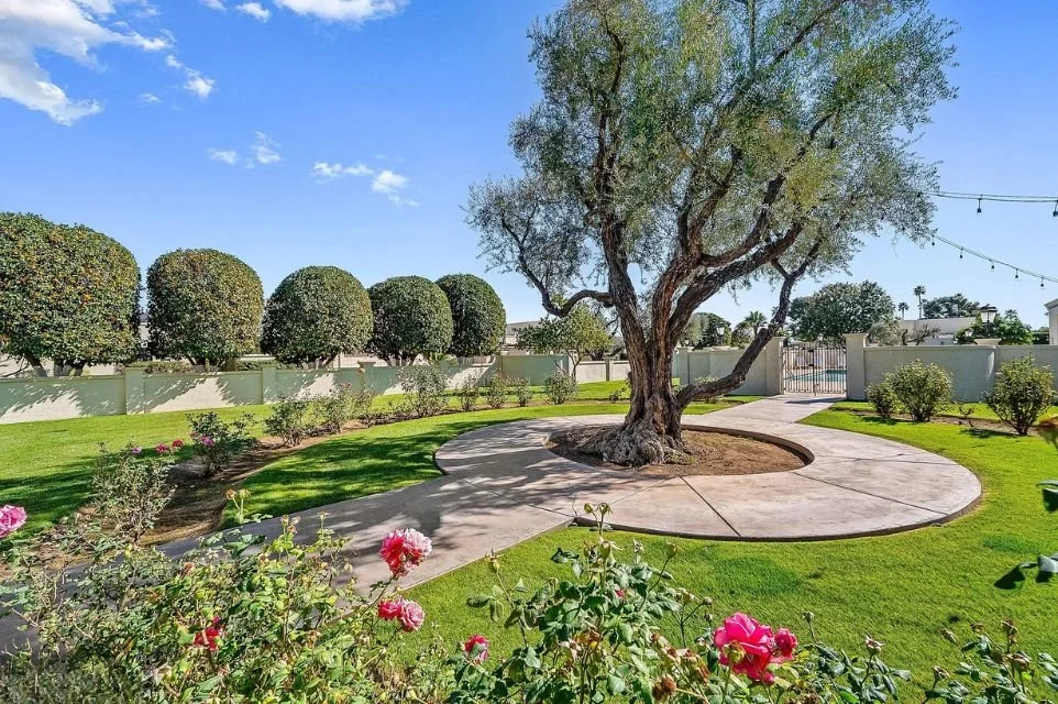 villa-adrian-listing-garden-scottsdale.jpg