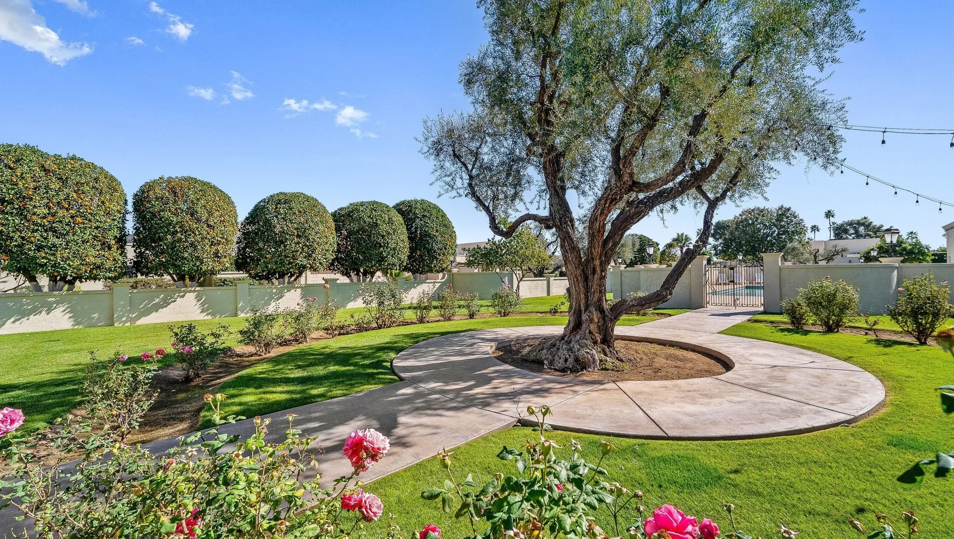 Landscaped community courtyard in Villa Adrian, Scottsdale, Arizona, featuring a mature shade tree, circular walkway, manicured lawns, and rose gardens.