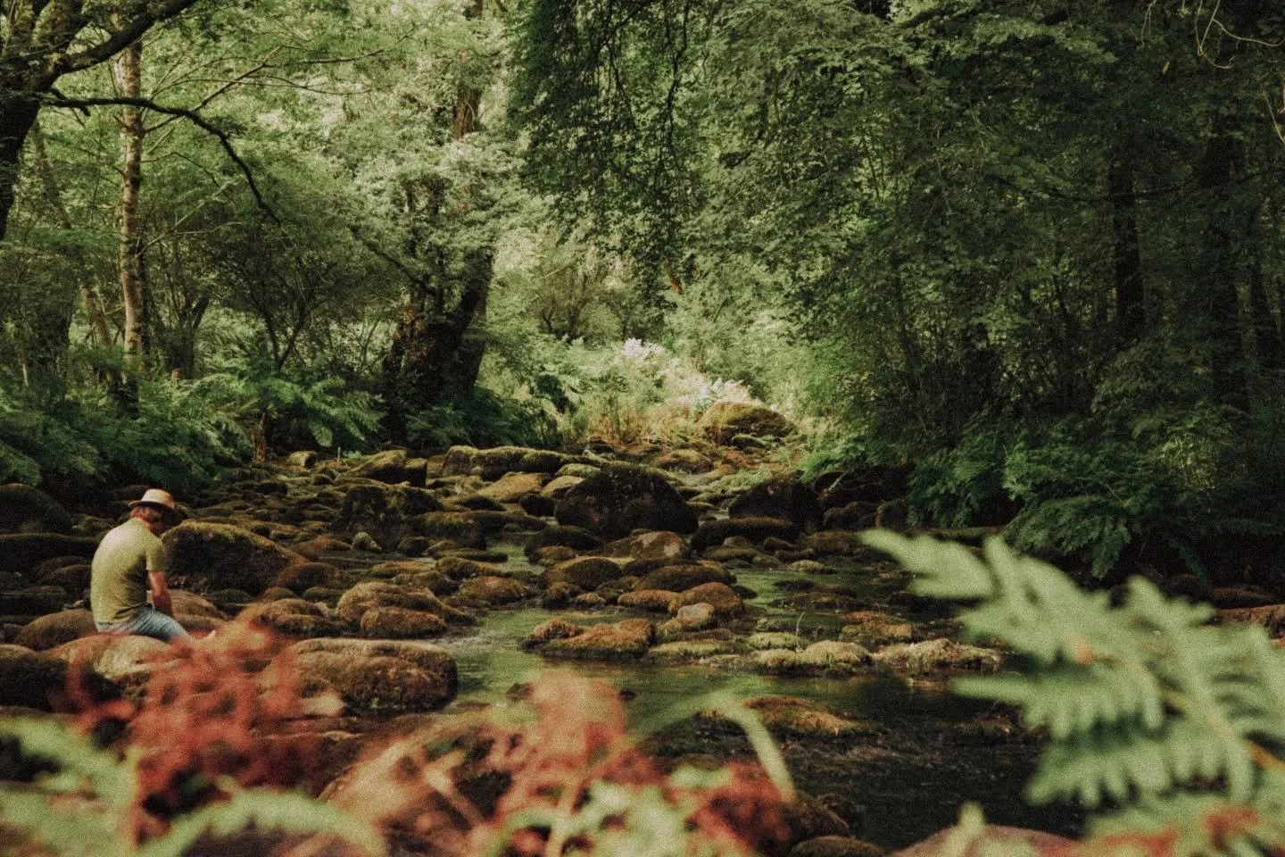 unknown
#photographer #naturephotography #cinematography