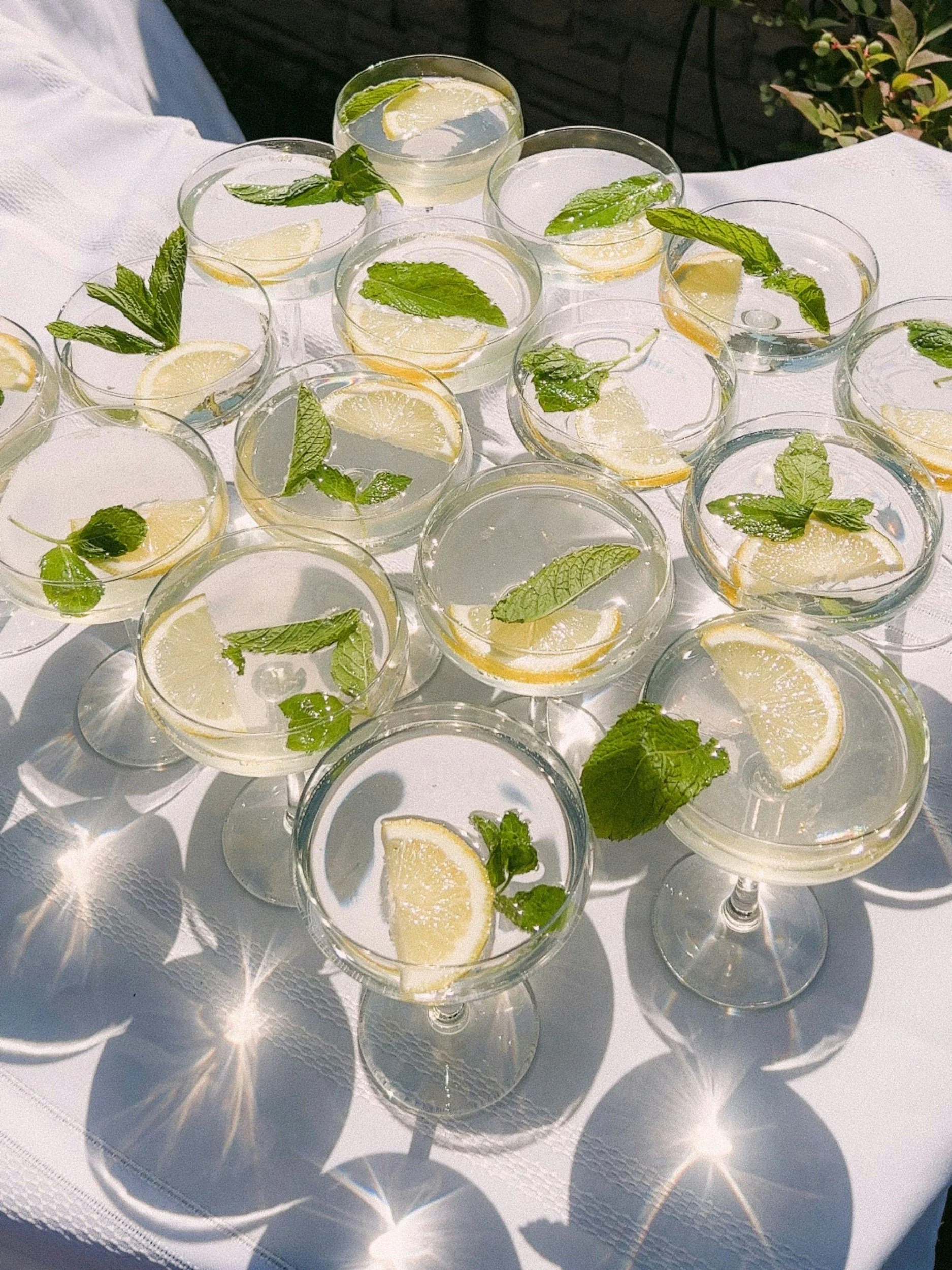 Several glasses of a clear drink with lemon slices and fresh mint leaves on a white tablecloth, sunlight casting patterns on the table.