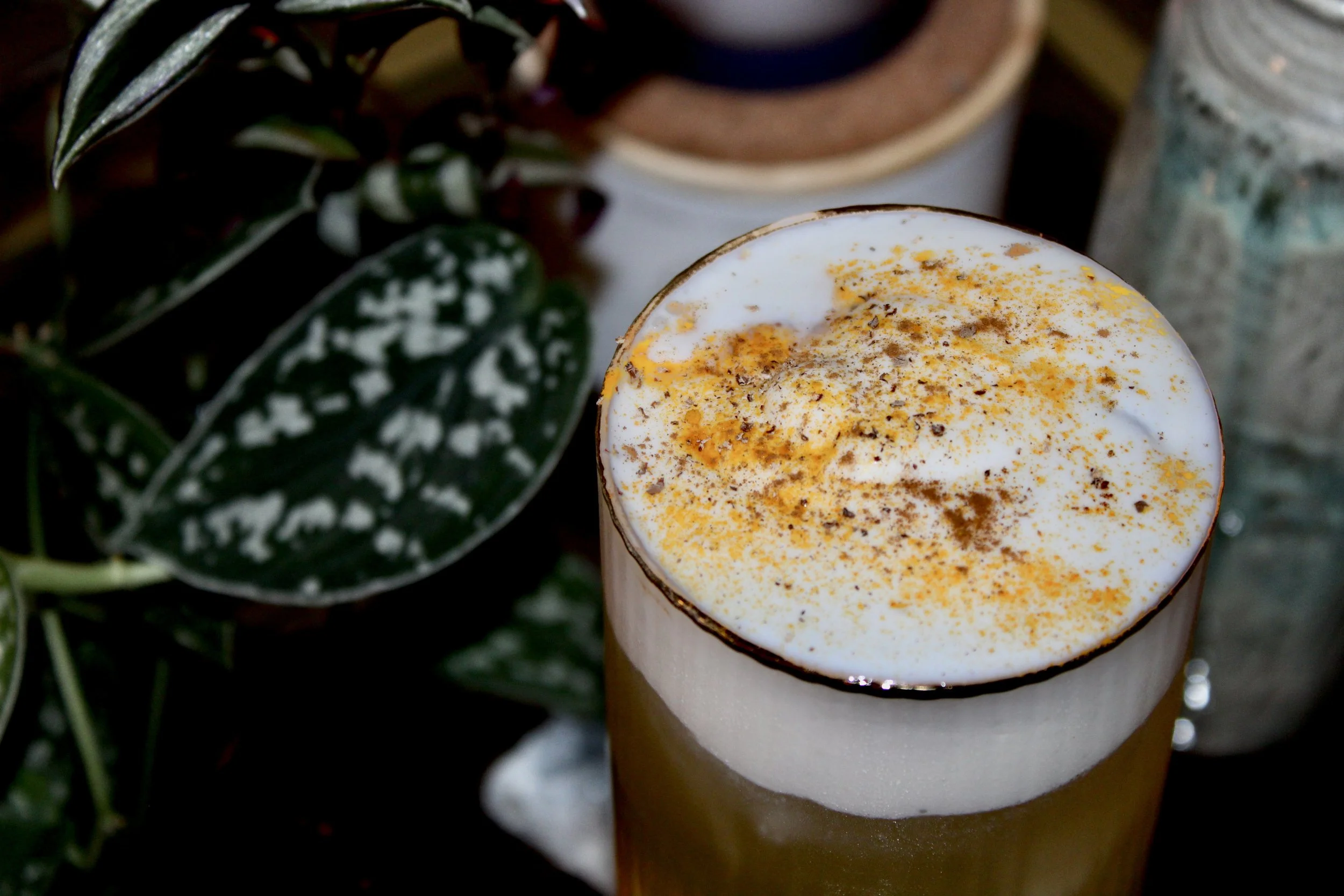 A close-up of a tall glass of a creamy, frothy beverage topped with orange zest, placed on a table next to green leafy plants.