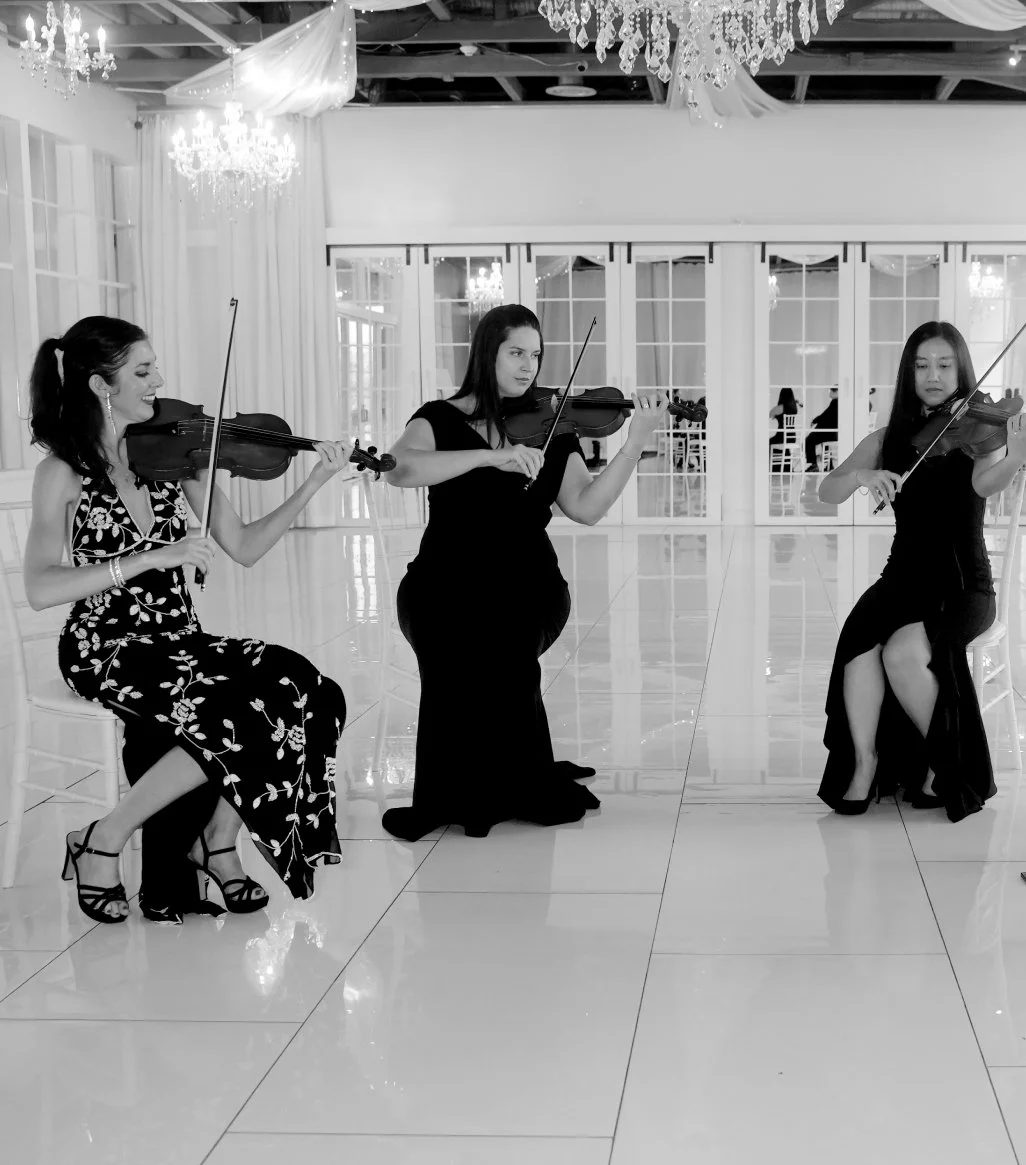 Live Music and DJ for Wedding