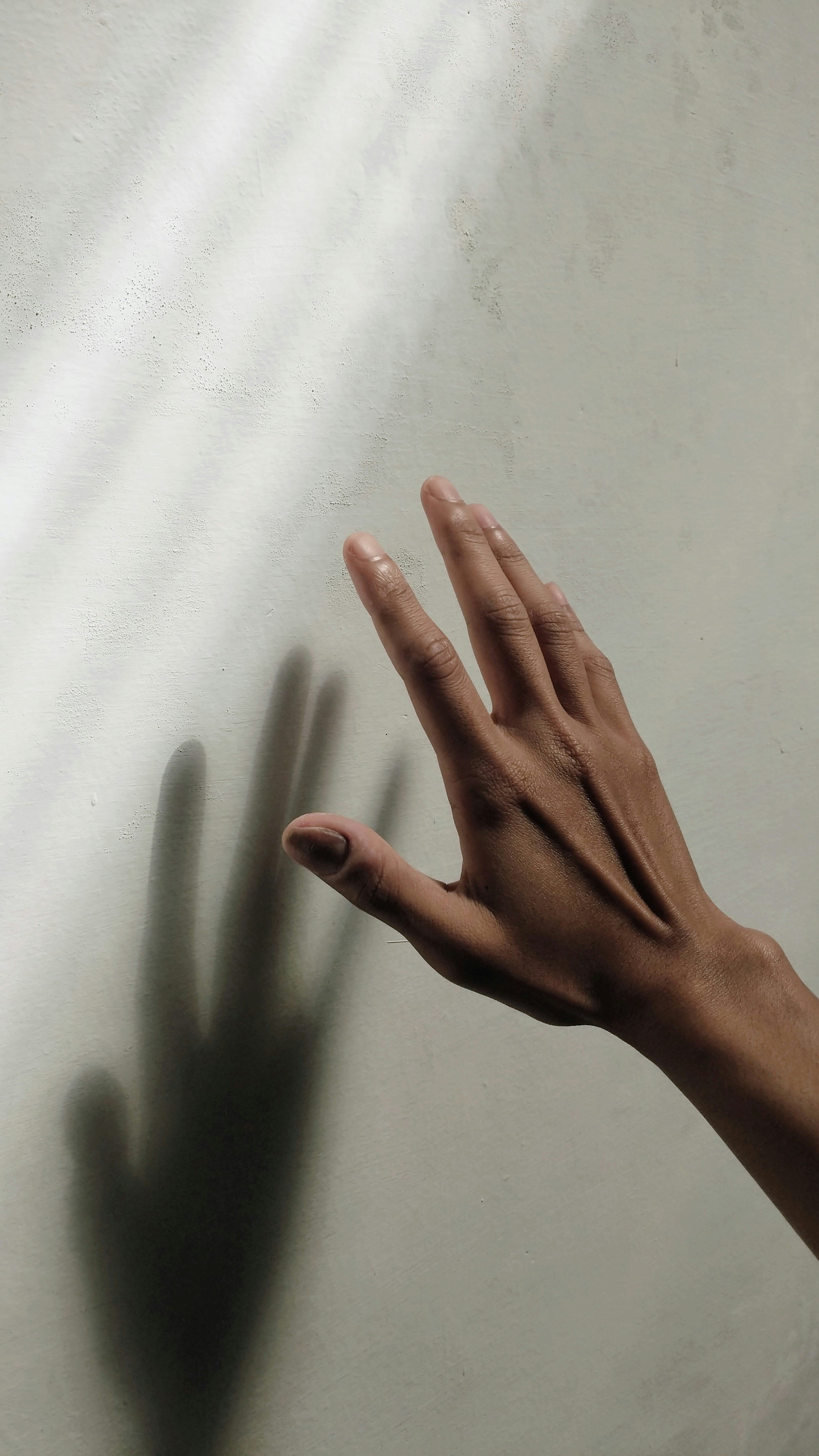Reiki Level I + II Certification