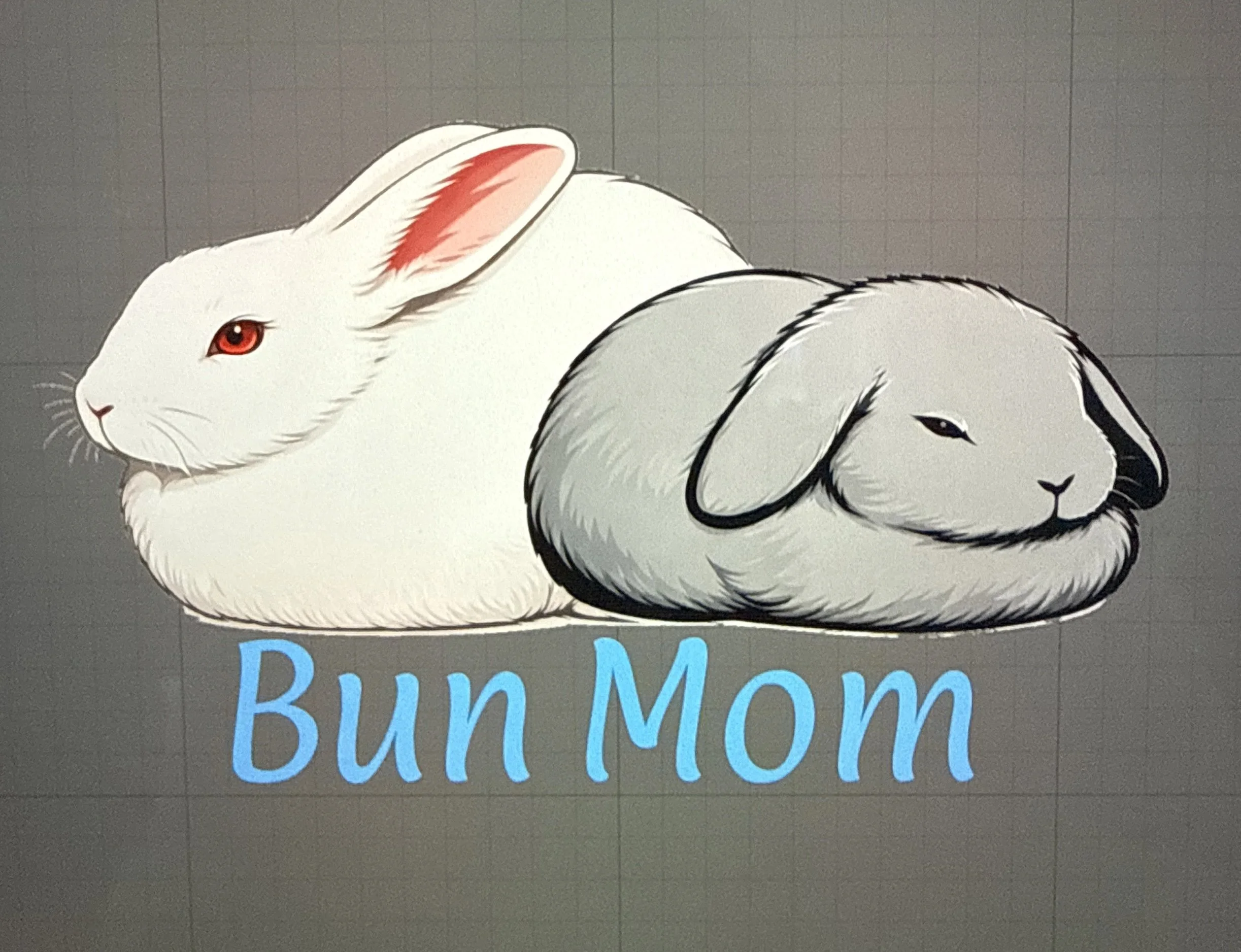 Bun Mom Final.JPG