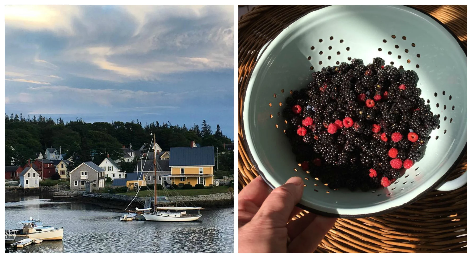 Right: Fresh pickings! My dad has shared the recipe for his famous homemade Maine cobbler on his own blog, At Home &amp; Afield. [Instagram Source: @michaelmber]