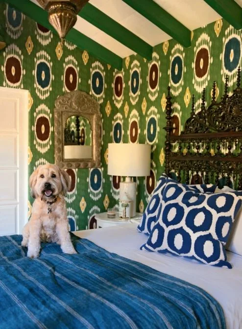 Featuring: Martin Lawrence Bullard's precious dog.