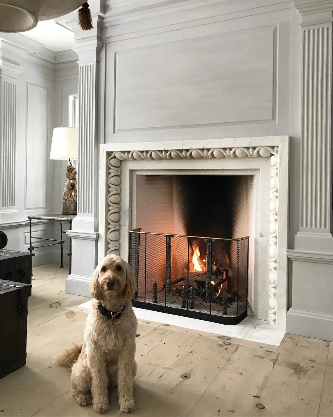 Steven’s dog, Sailor, who was featured in the book “At Home With Dogs and their Designers”, which made my Coffee Table Books for the Design Lover list.
