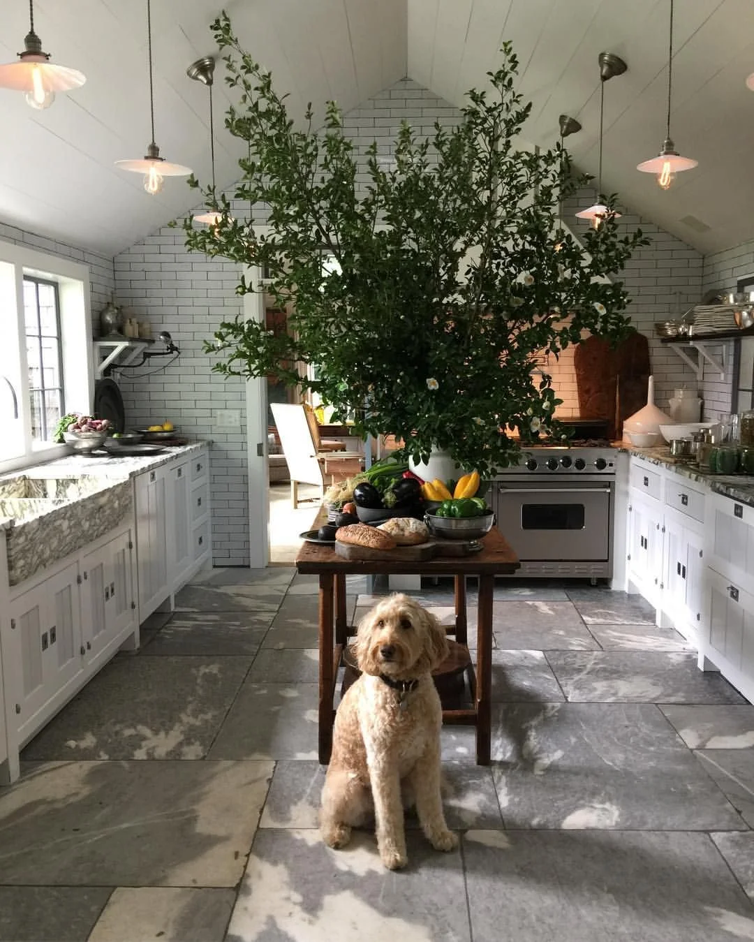 Sweet Sailor in Gambrel’s kitchen