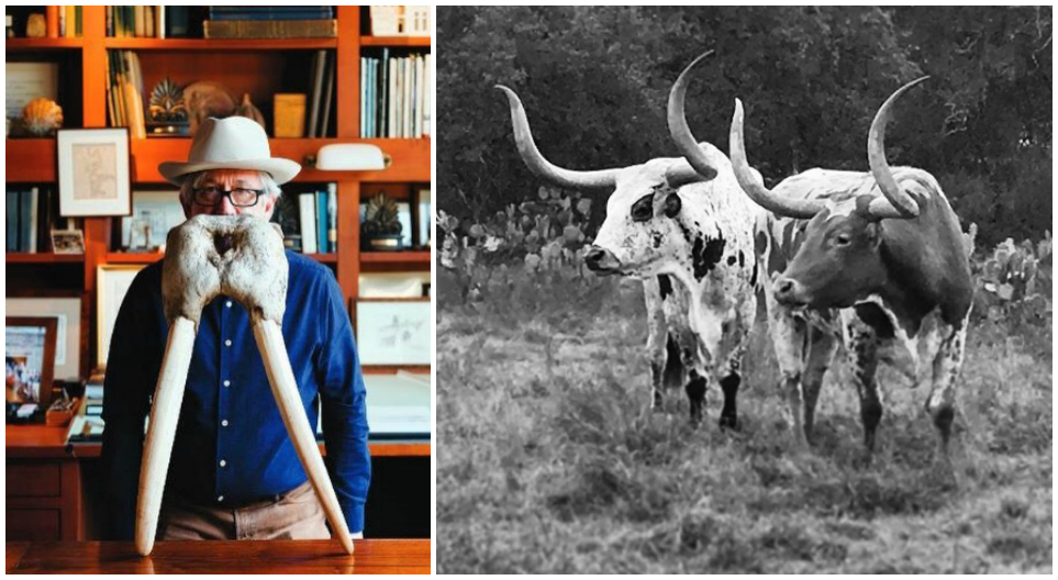 Right image @michaeImber