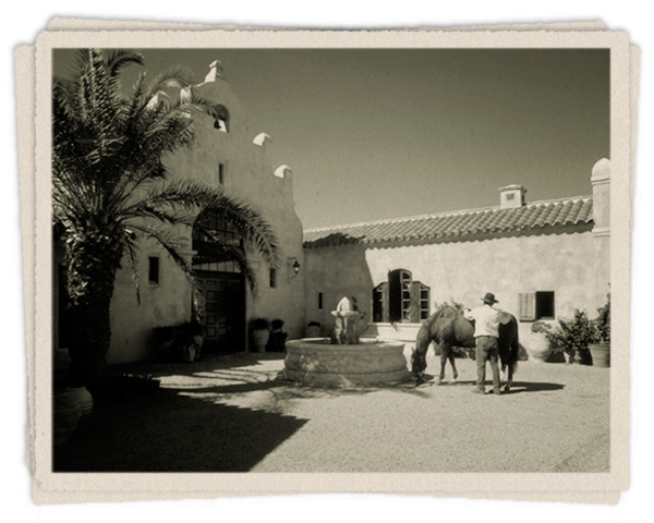 Ranch life at Rancho Dos Vidas