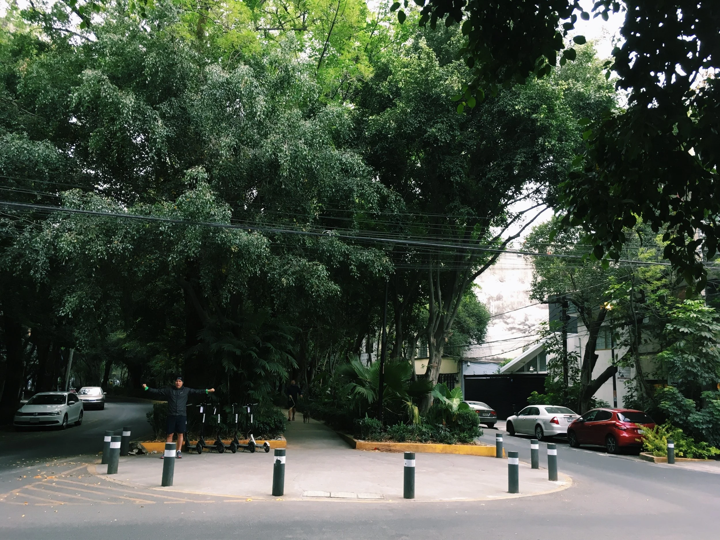 3EF2F7B8-7CE6-4BDB-9616-F528ABADE3CB.JPG