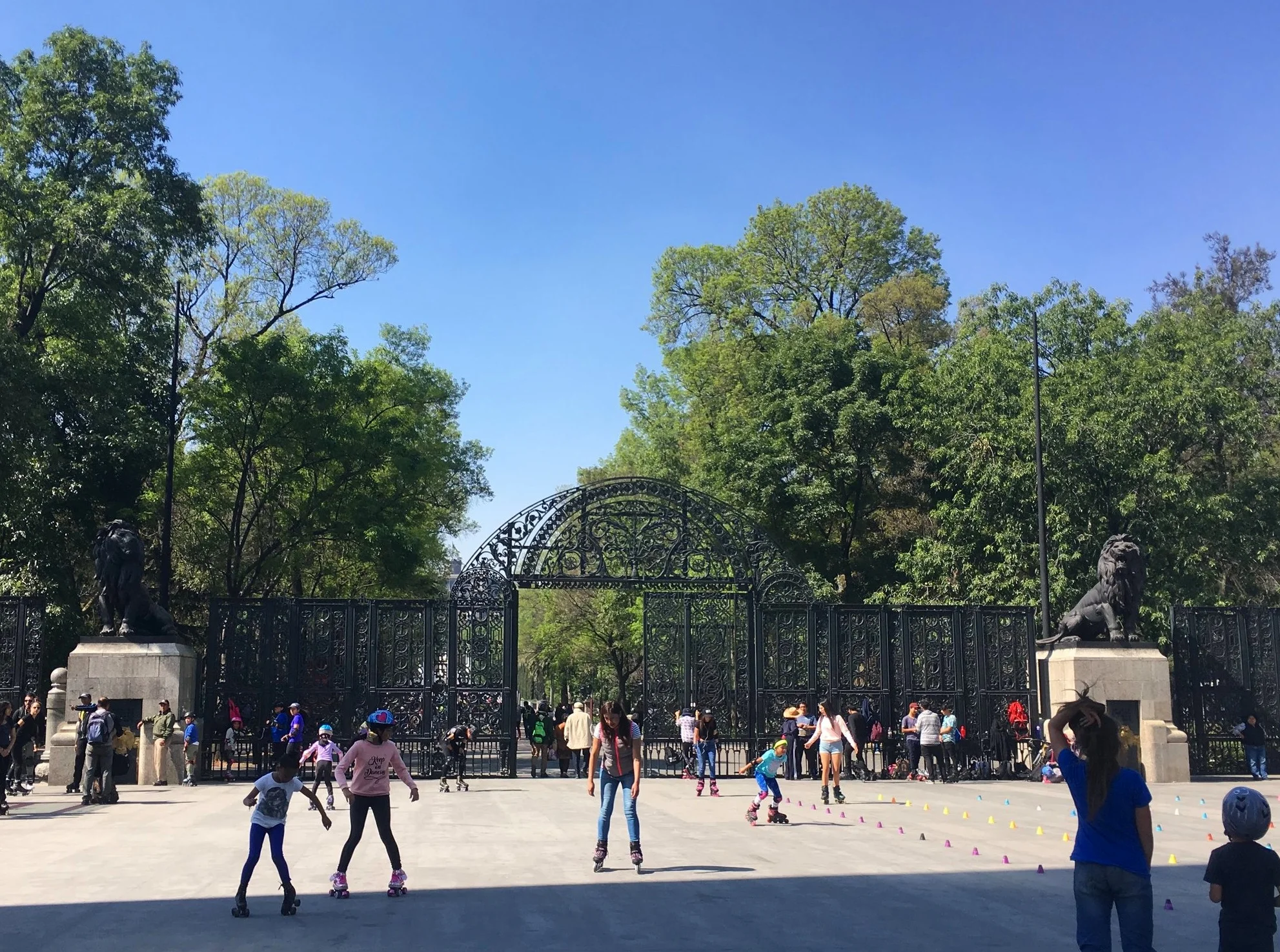 Entrance to the park