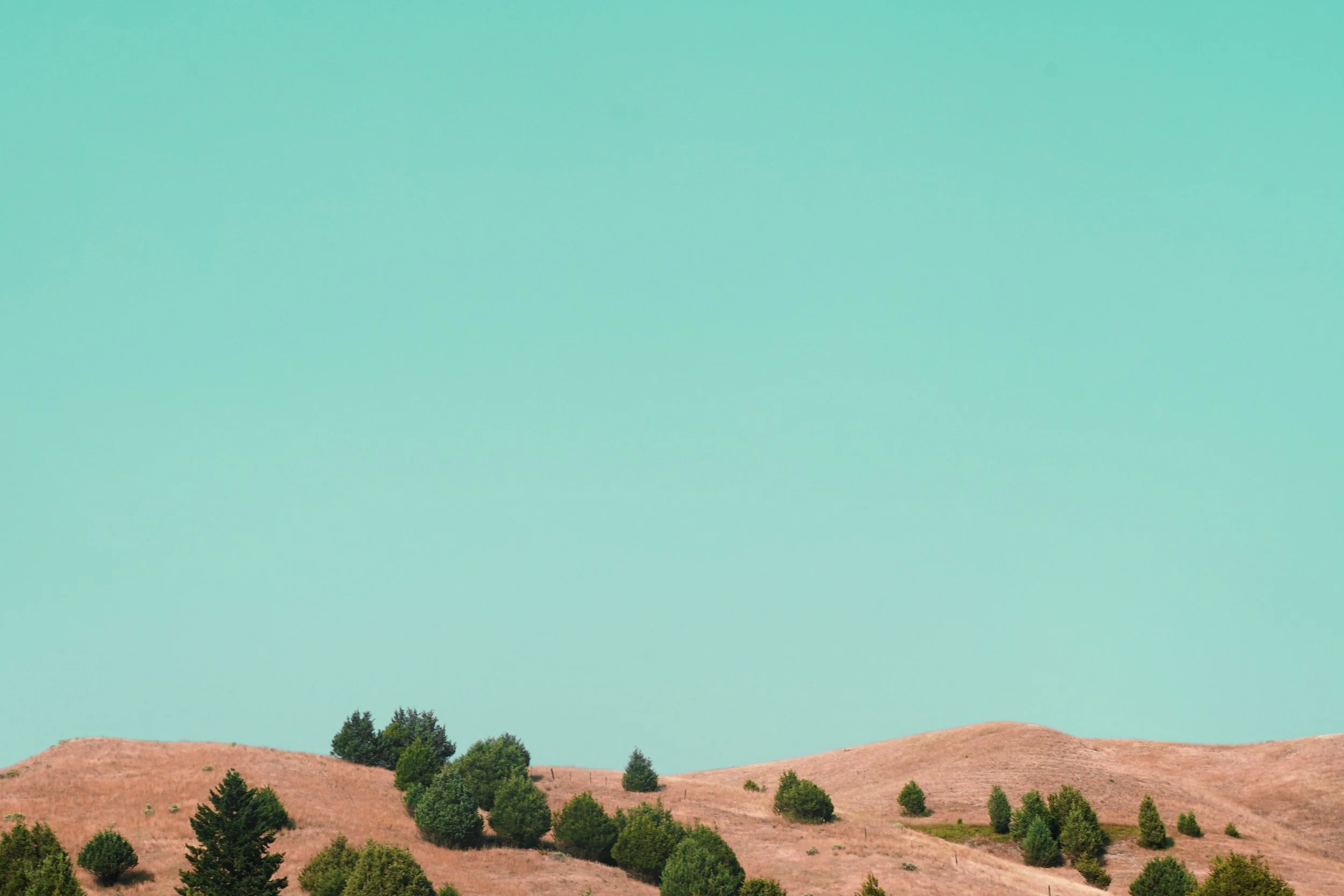 Distorted Hues Project