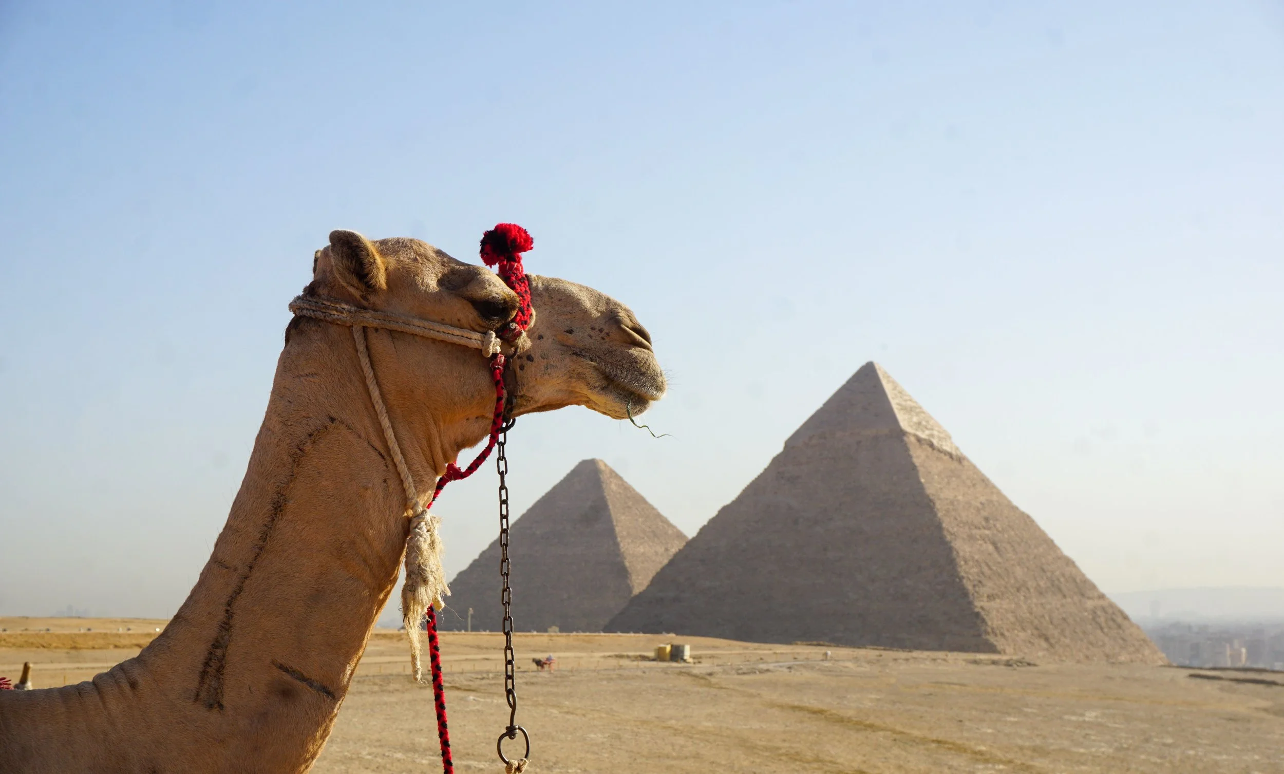 DSC02398 copy-Edit.jpg