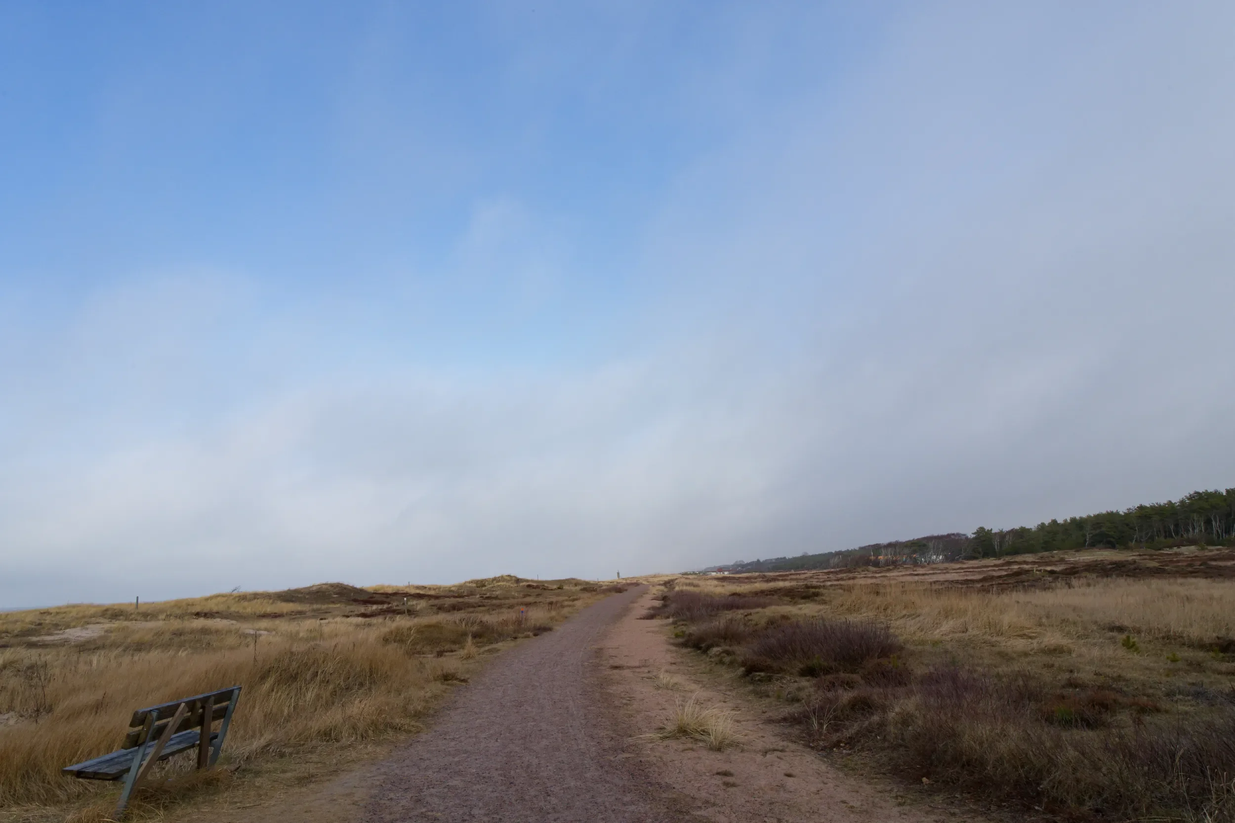 Stranden vid Skummelövs naturreservat