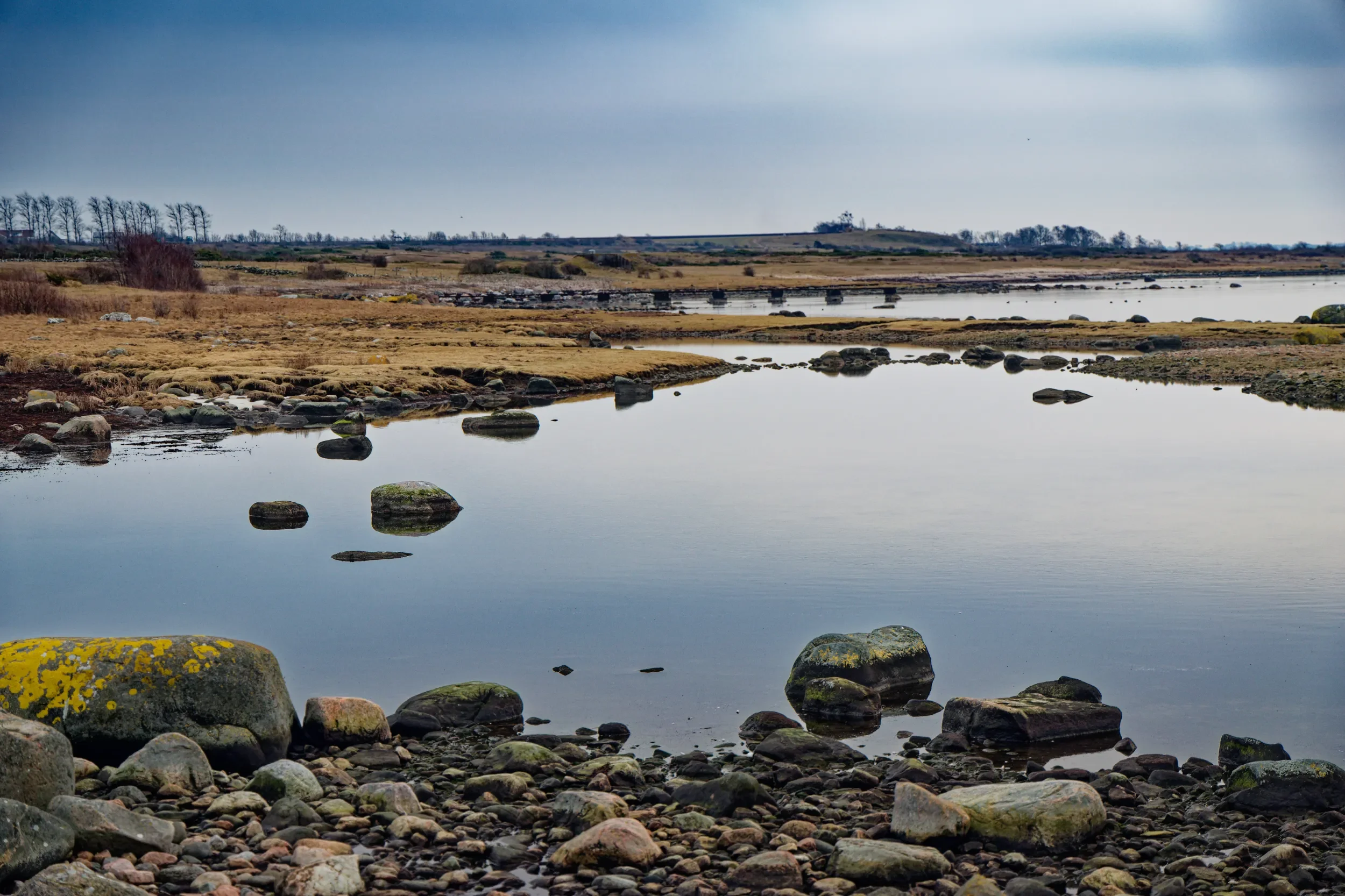 Glimminge plantering på Bjärehalvön vy söderut