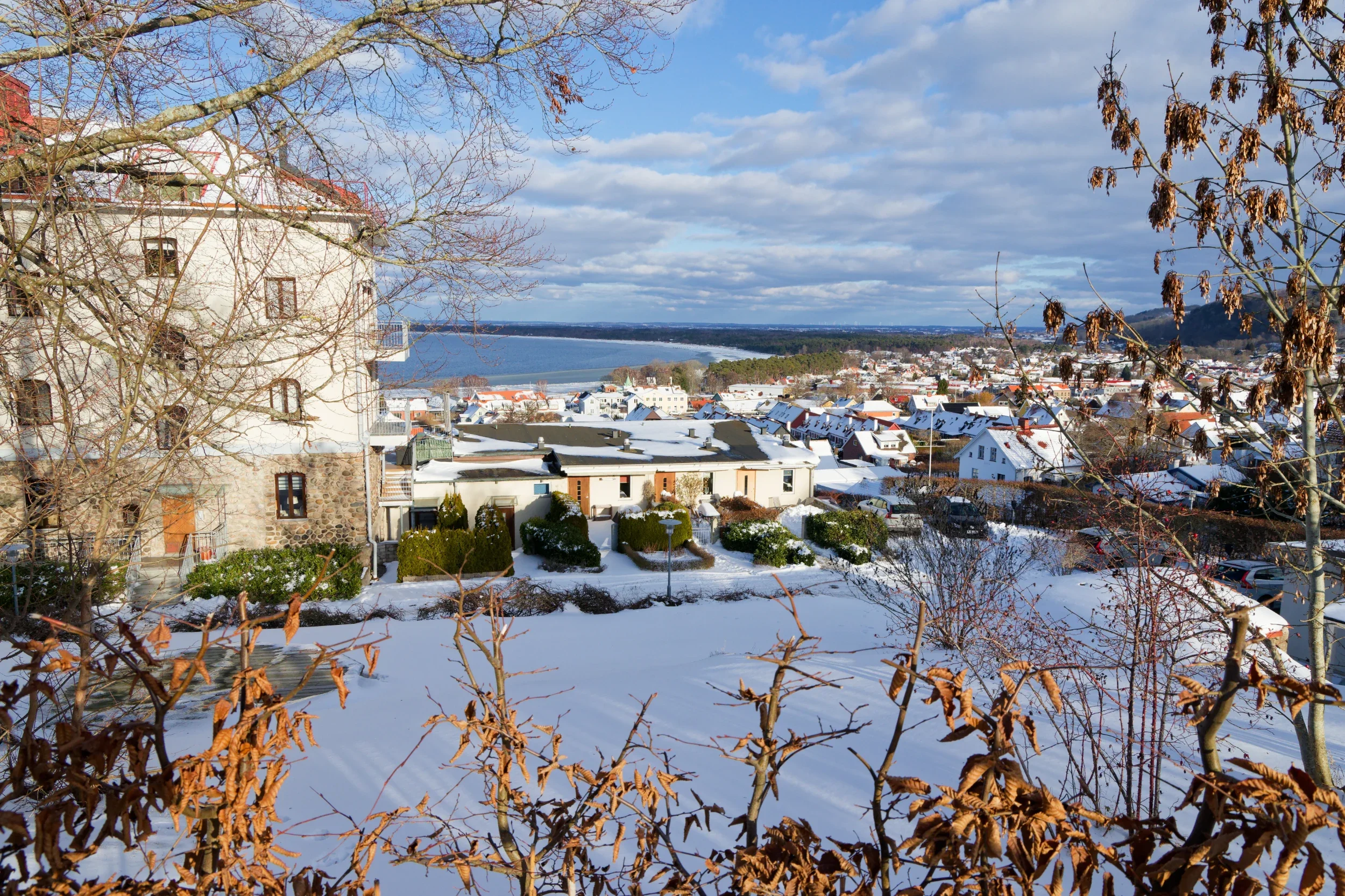 Vy över Båstad, träd och Laholmsbukten i bakgrunden, under vintern 2026.