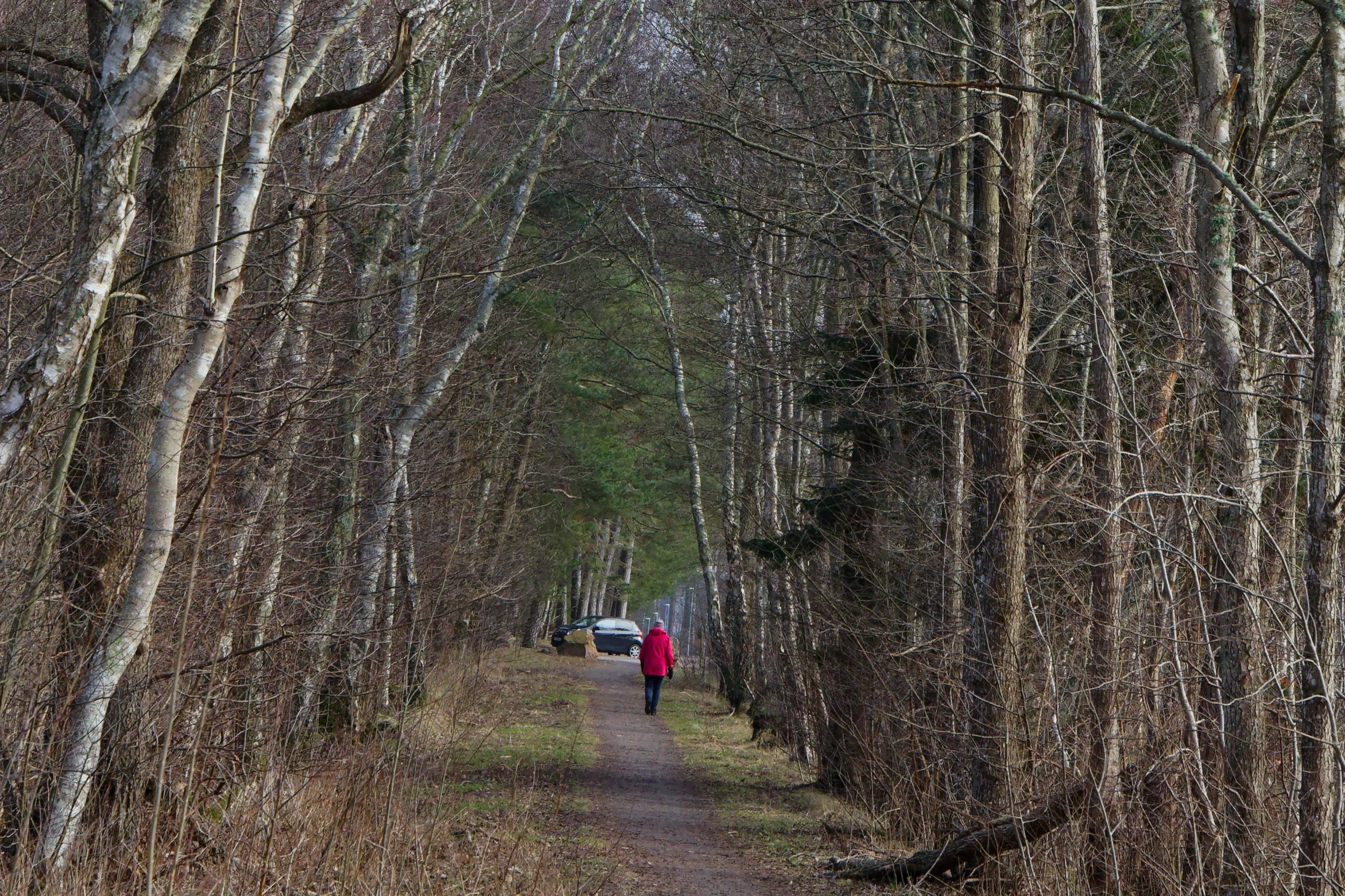 Mot parkeringen vid Skummelövs naturreservat