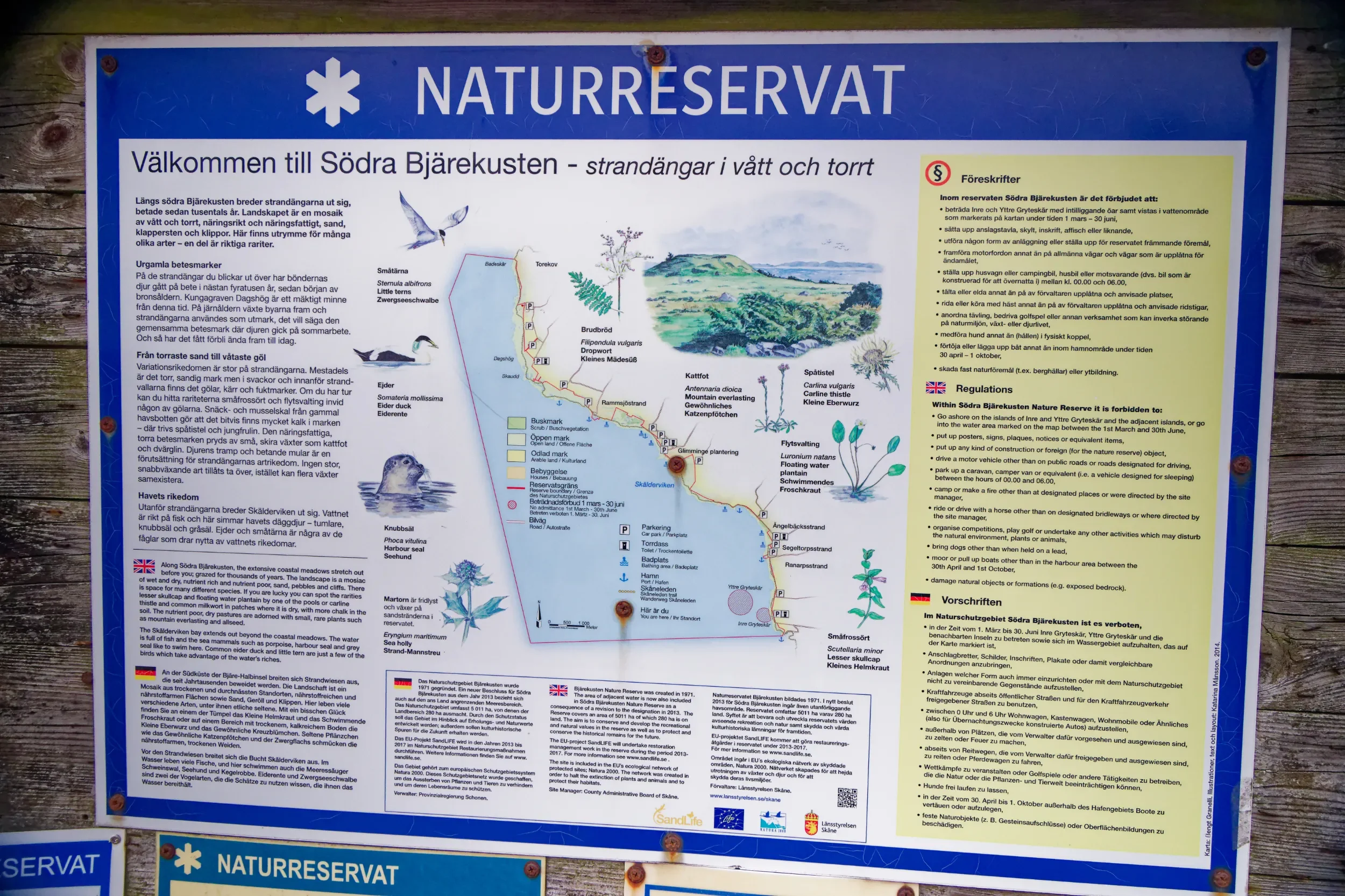 Glimminge plantering på Bjärehalvön