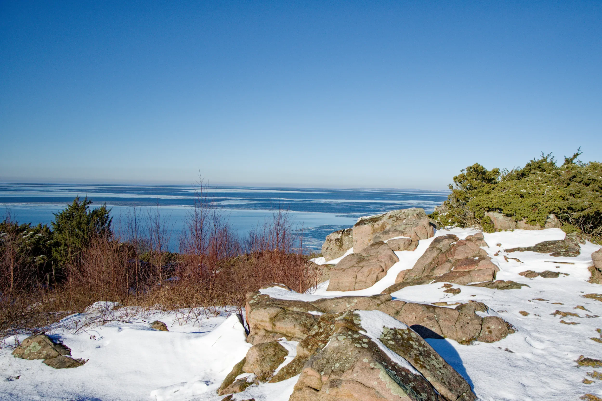 Hovs hallar  mellan Båstad och Torekov, snöklädd klippig kust med barrträd och ett isfyllt hav i bakgrunden, under en klar blå himmel.