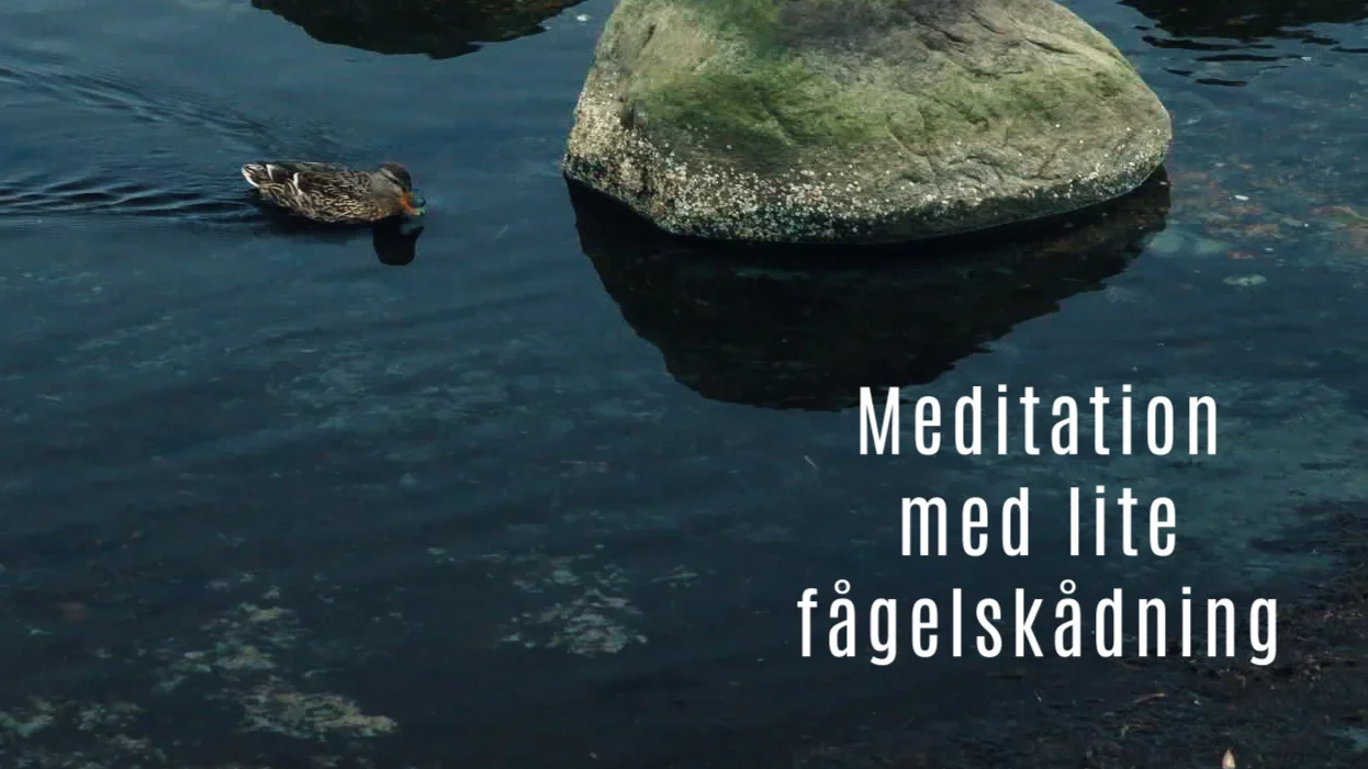 Related Video Item Thumbnail