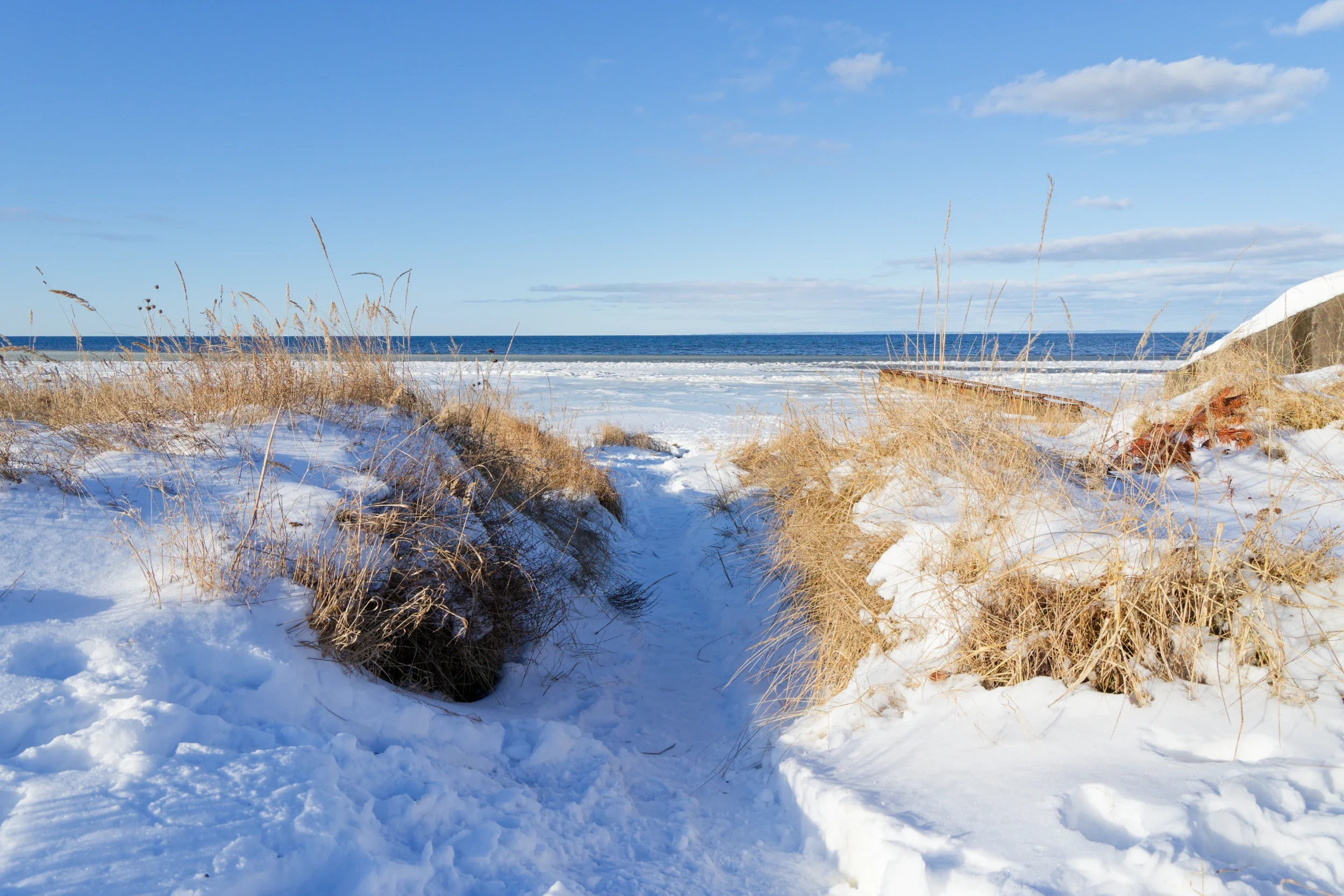 Stranden utanför Båstad vintern 2026