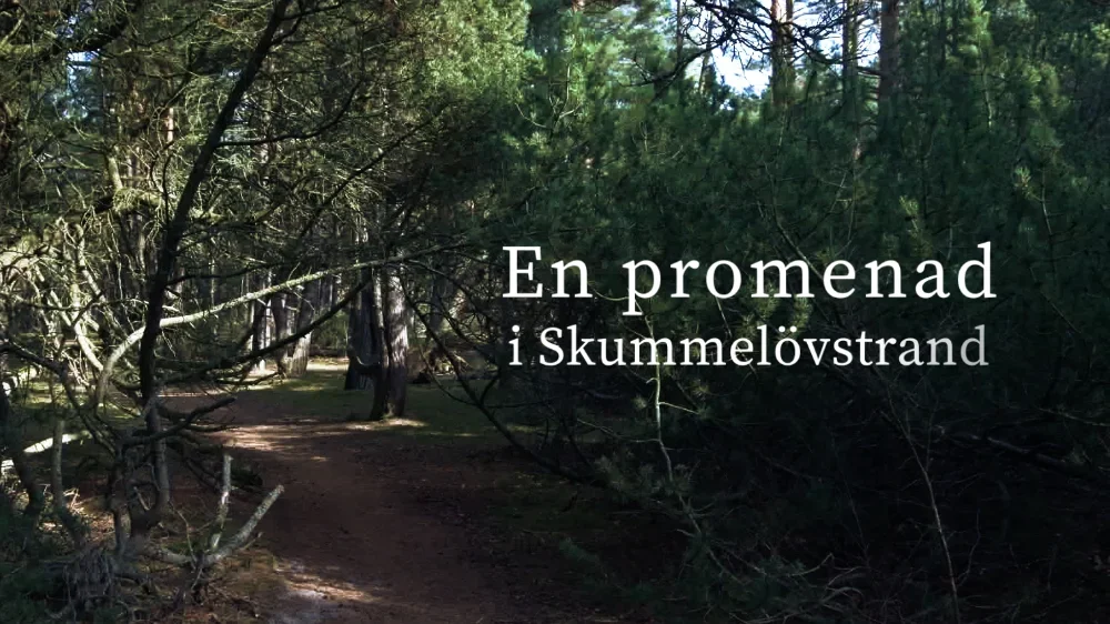 Related Video Item Thumbnail