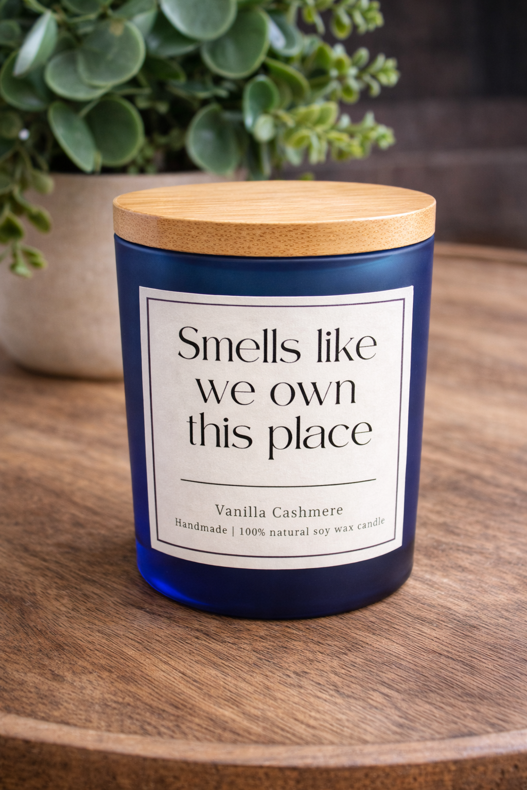 Smellslikeweownthisplaceheroblue.png
