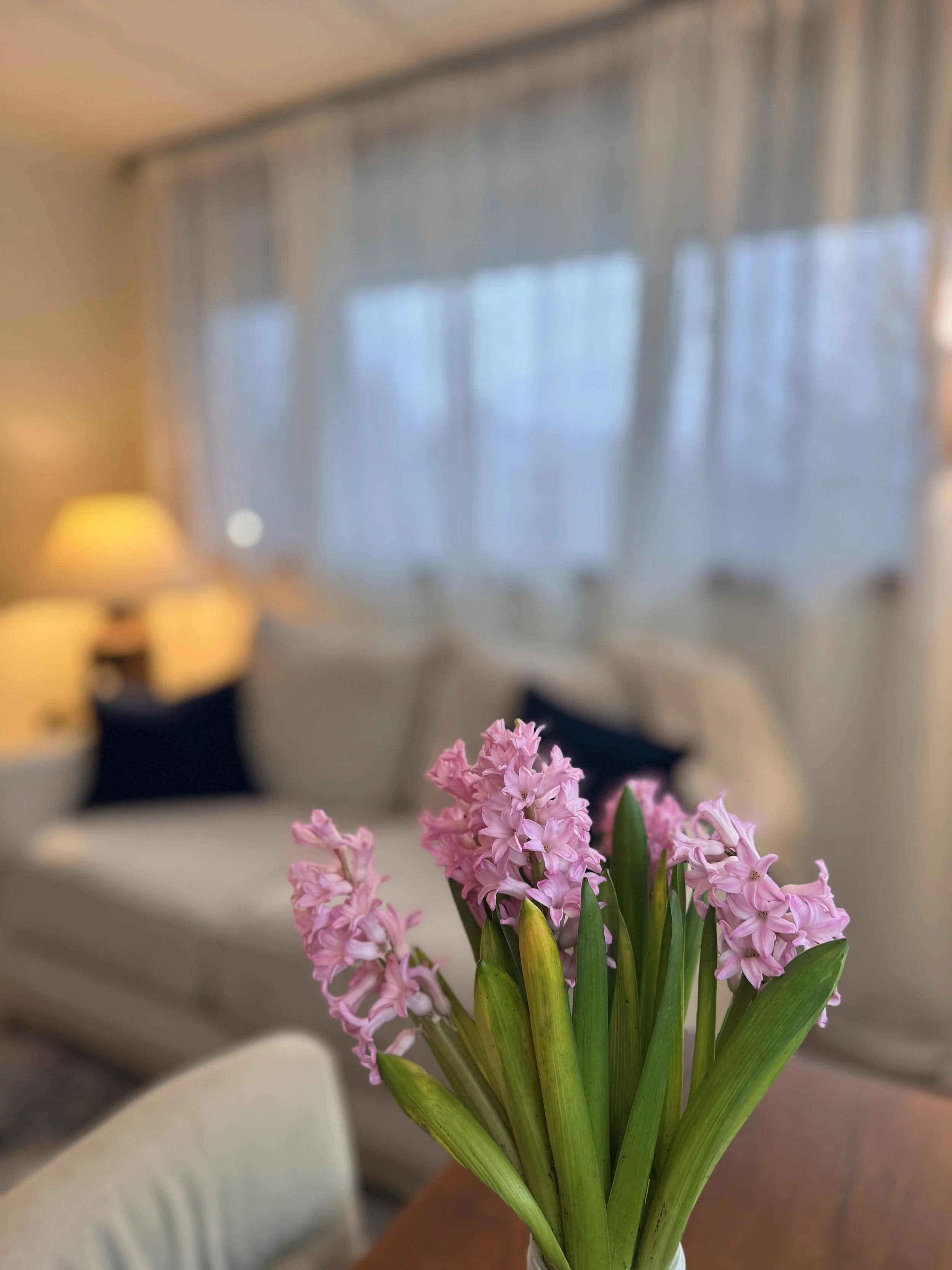 Therapy couch with flowers in focus